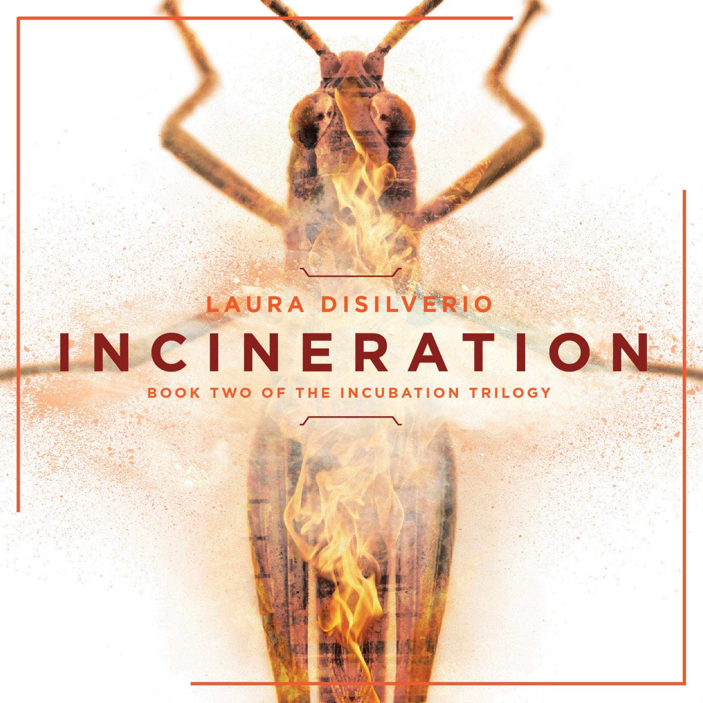 Cover art for Incineration