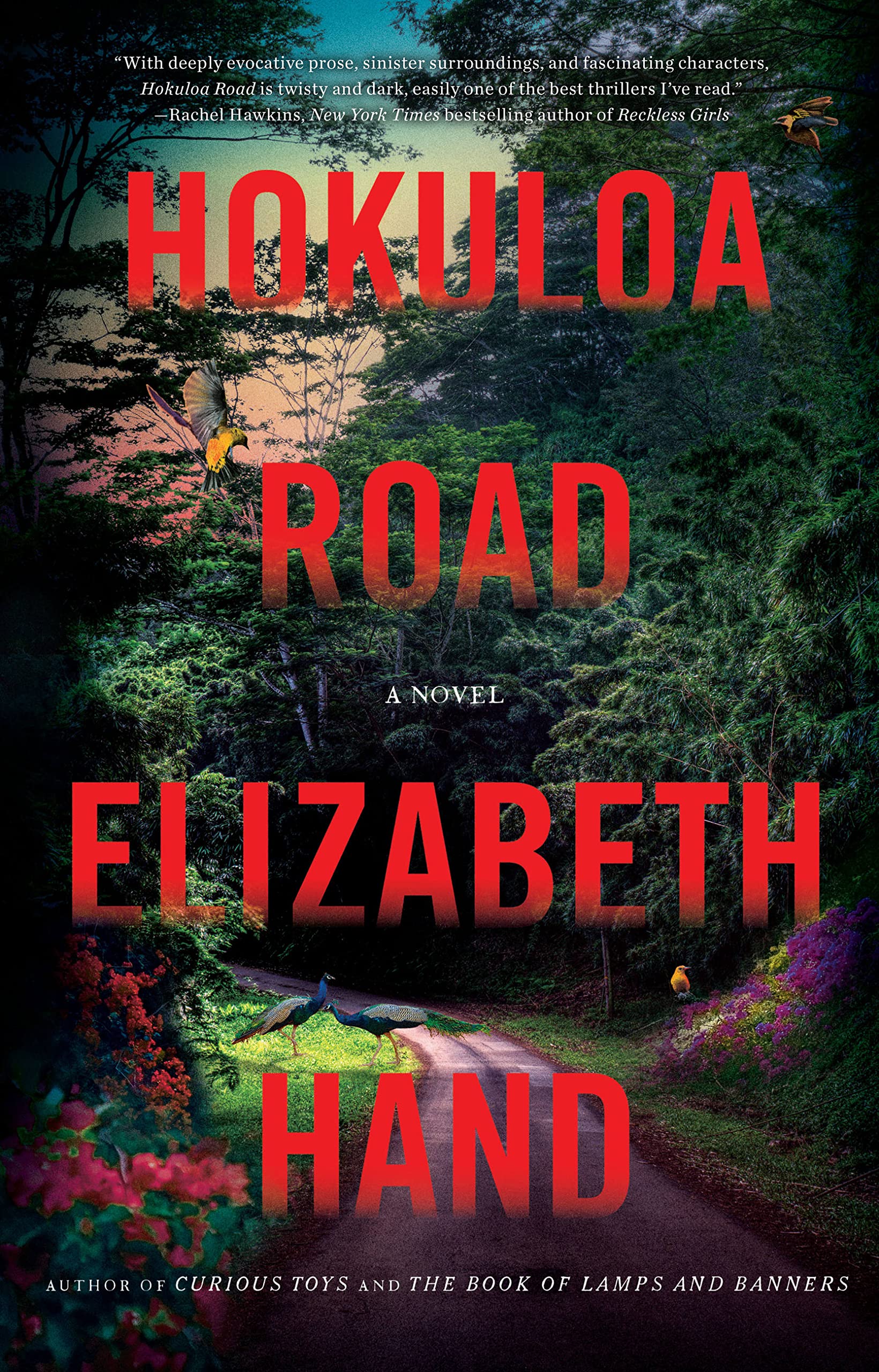 Cover of Hokuloa Road