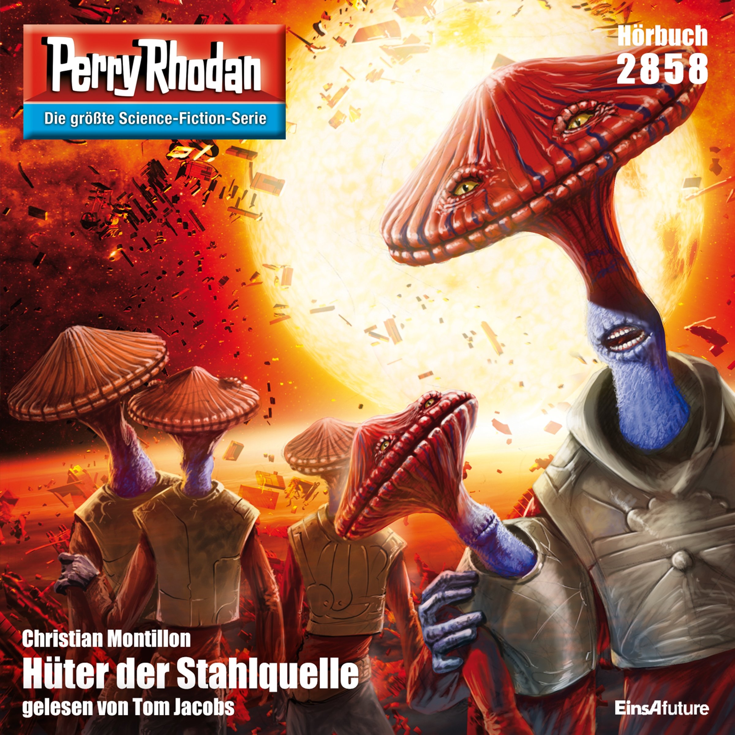 Cover art for Hüter der Stahlquelle