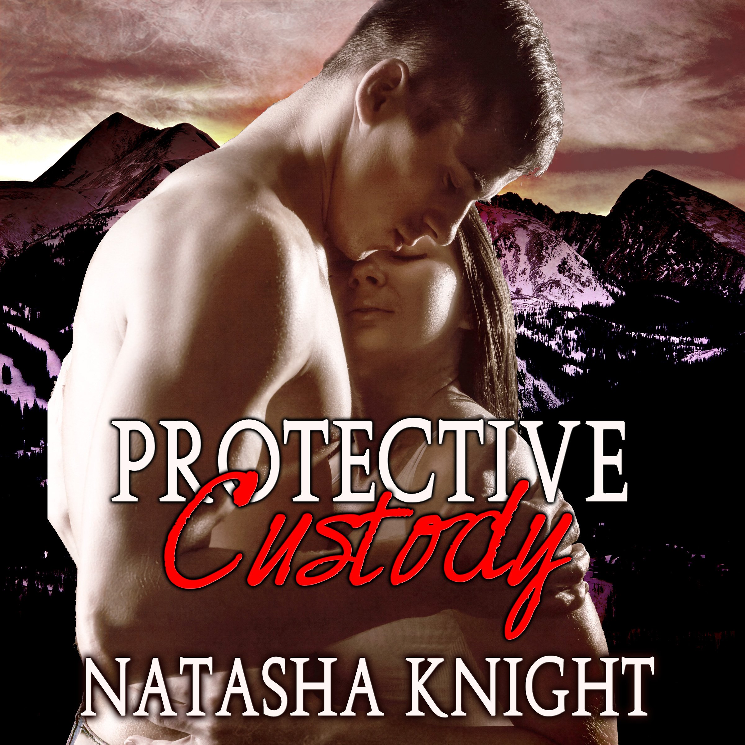 Cover art for Protective Custody