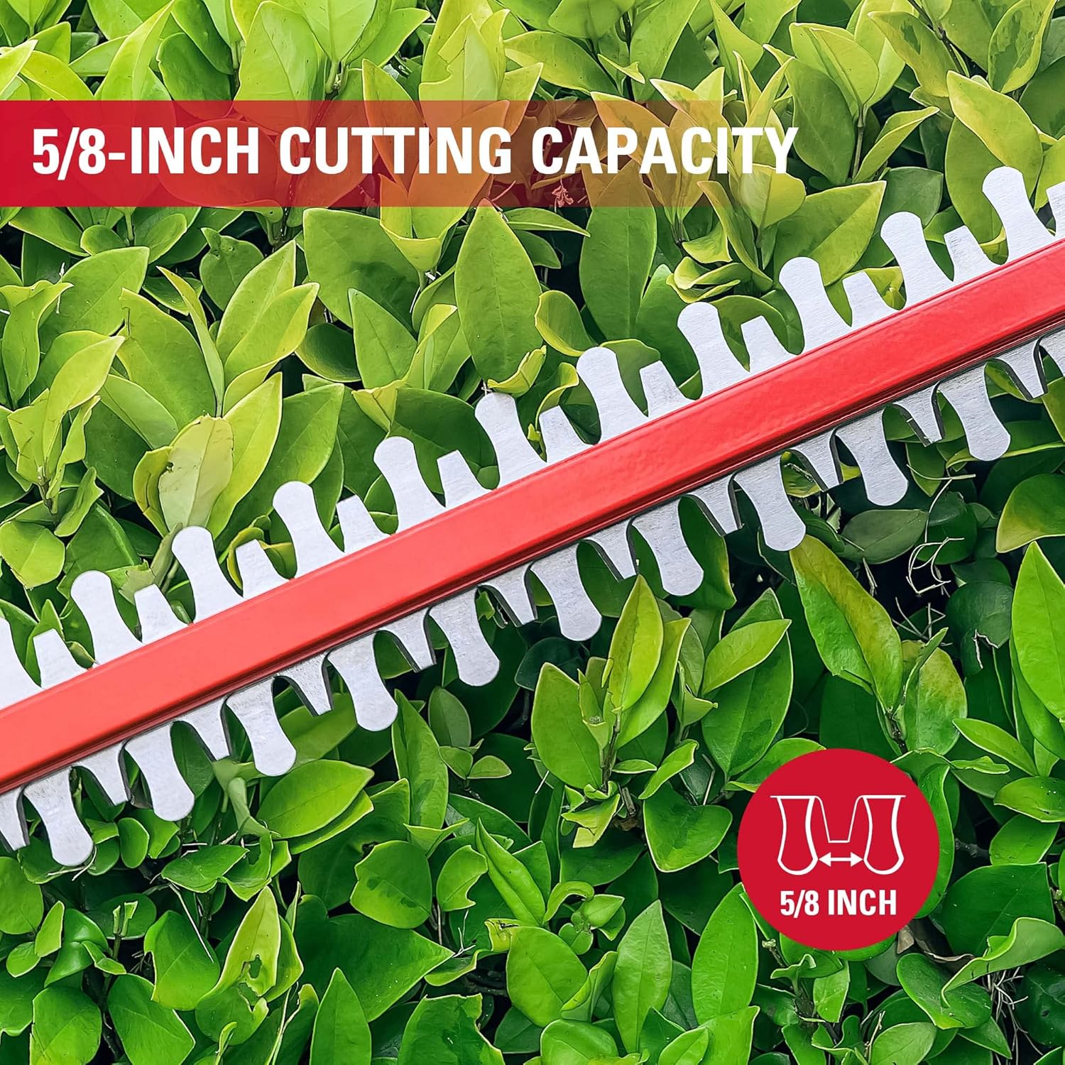 review POWERWORKS XB 20V 20-Inch Cordless Hedge Trimmer, 2Ah Battery and Charger HTP301