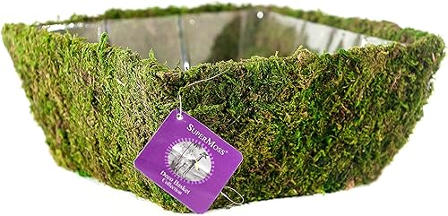 Miniatura 3 de SuperMoss (55041 Marin, verde fresco, pequeño)