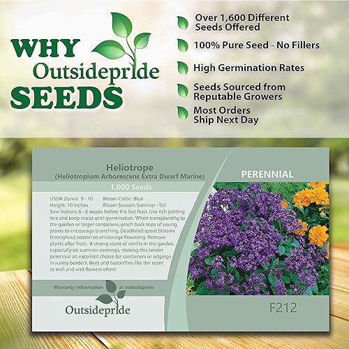 Miniatura 5 de Outsidepride 1000 semillas pereinnial Heliotropium Semillas de flores marinas extra enanas para plantar