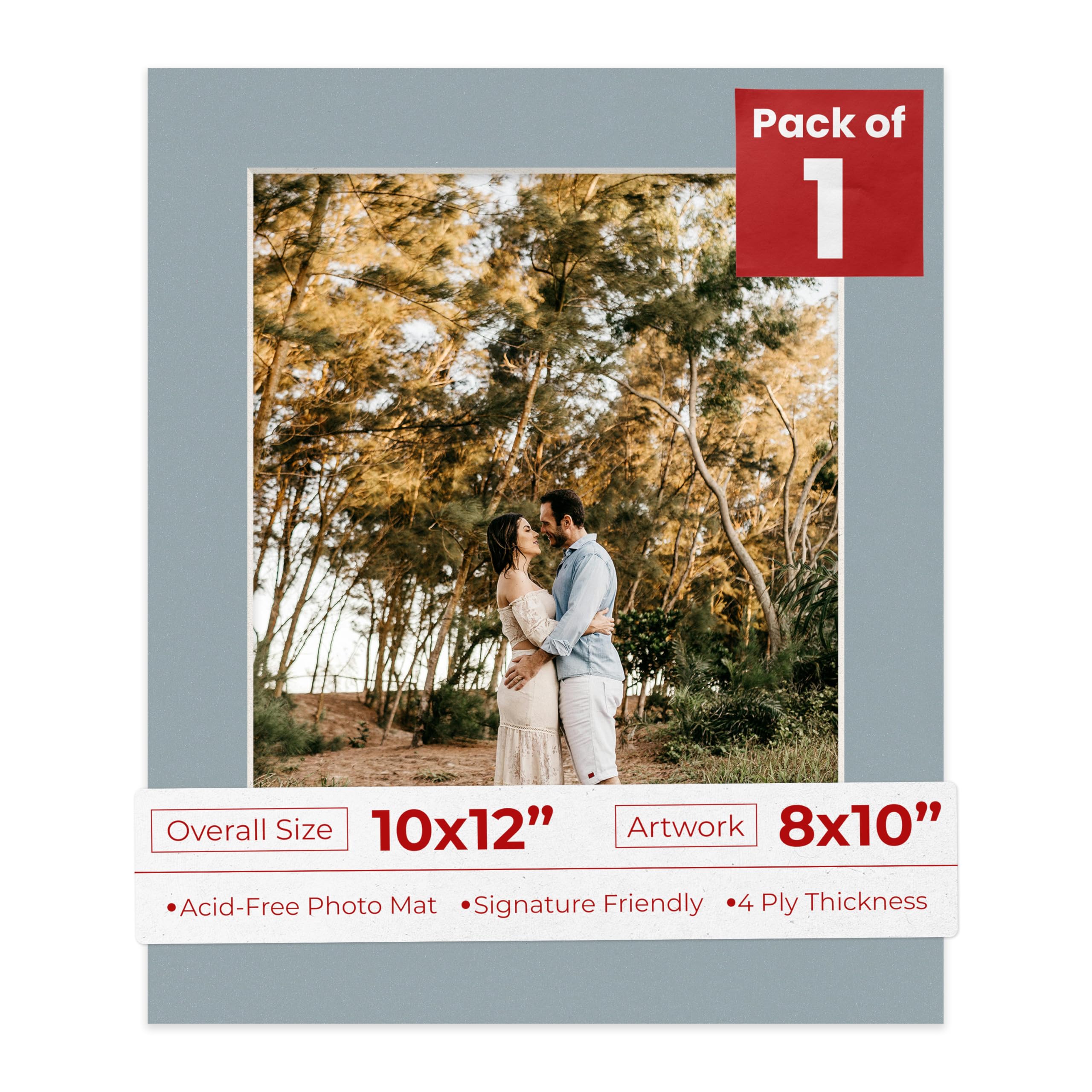 8x10 Mat for 10x12 Frame - Precut Mat Board Acid-Free Metallic Silver 8x10 Photo Matte for a 10x12 Picture Frame, Premium Matboard for Family Photos,