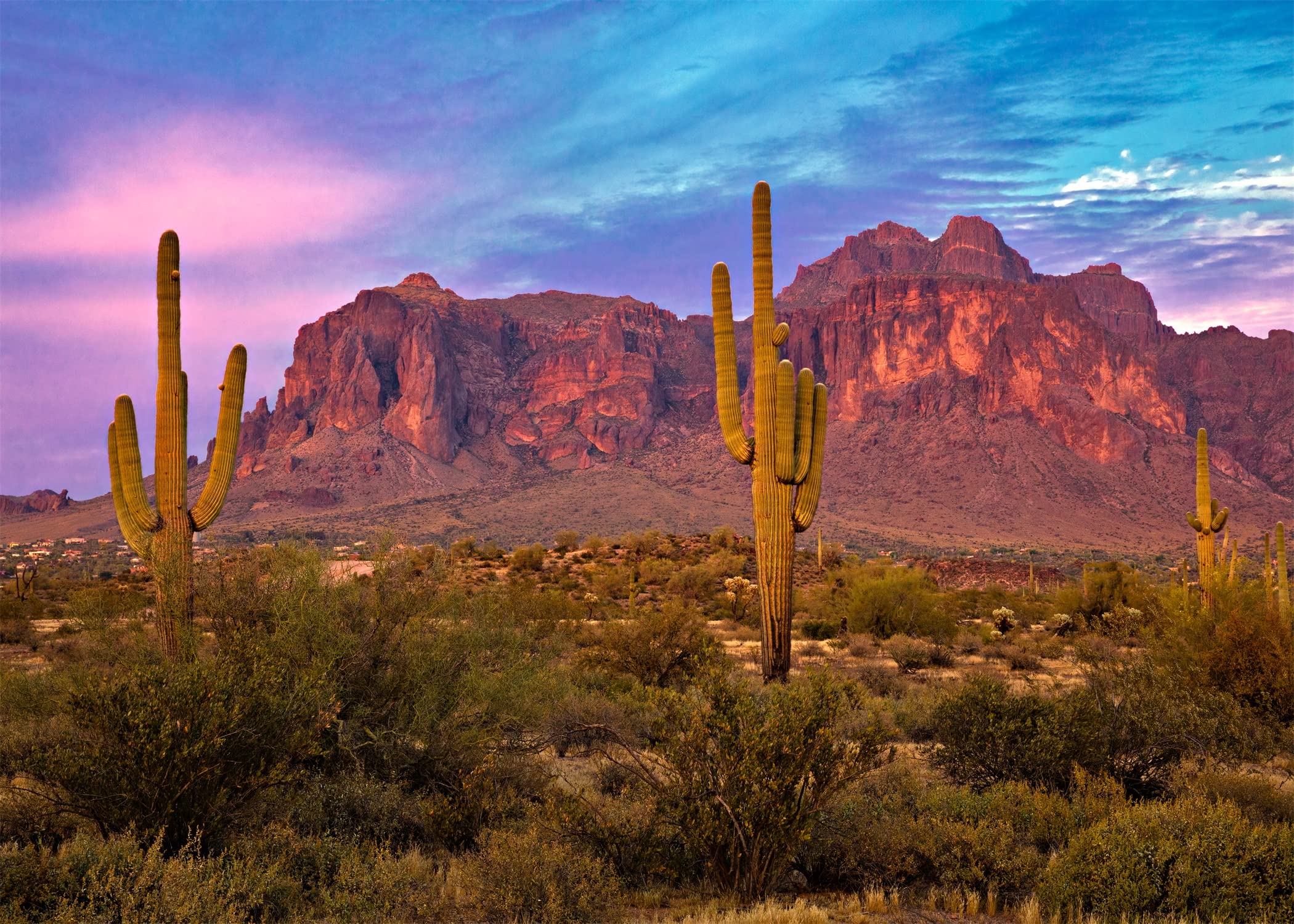 BELECO 10x6.5ft Fabric Arizona Desert Photography Backdrop Western Party Decor Blue Sky Sand Dunes Prickly Cactus Saguaro Wilderness Mountain