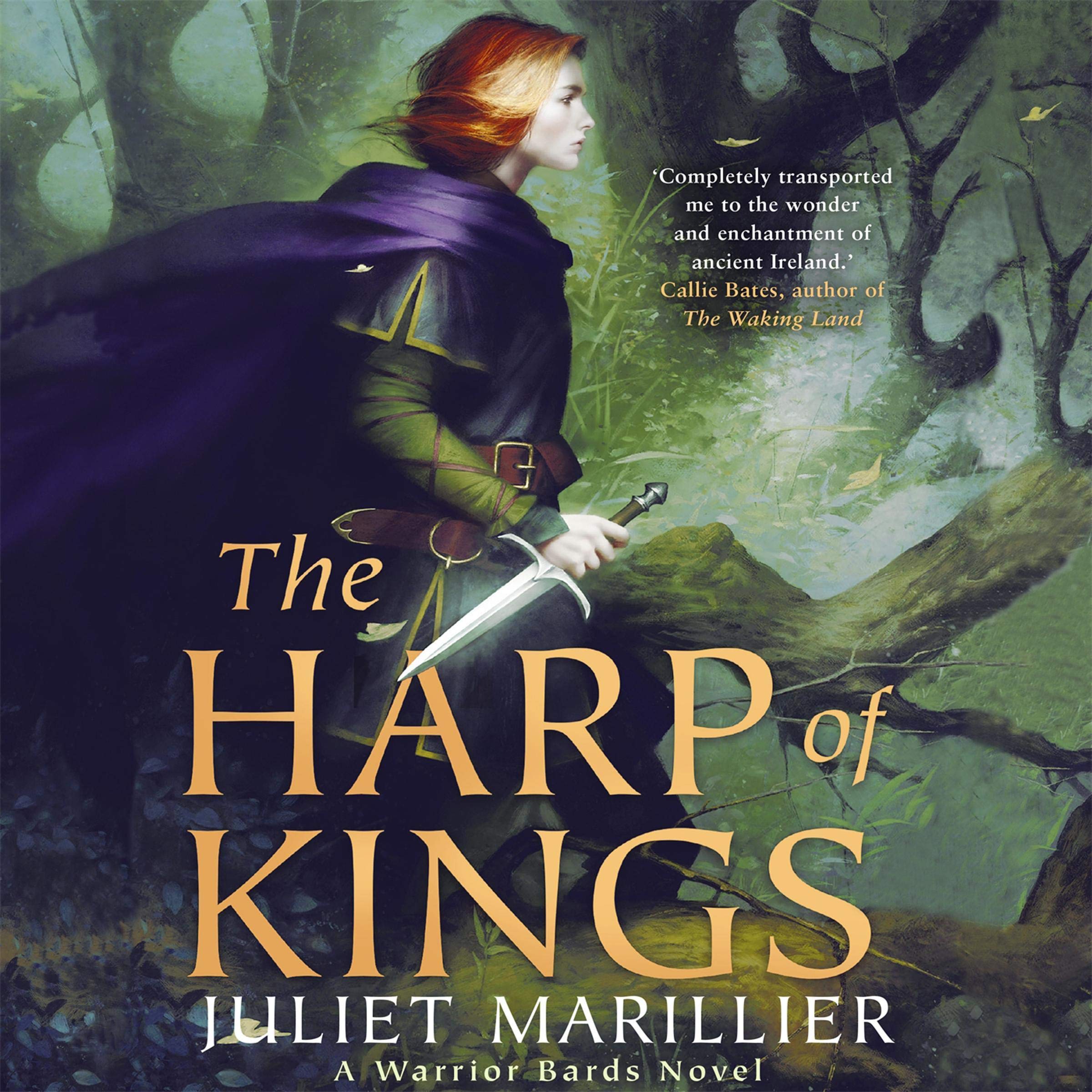 Cover art for The Harp of Kings: A Warrior Bards Novel 1