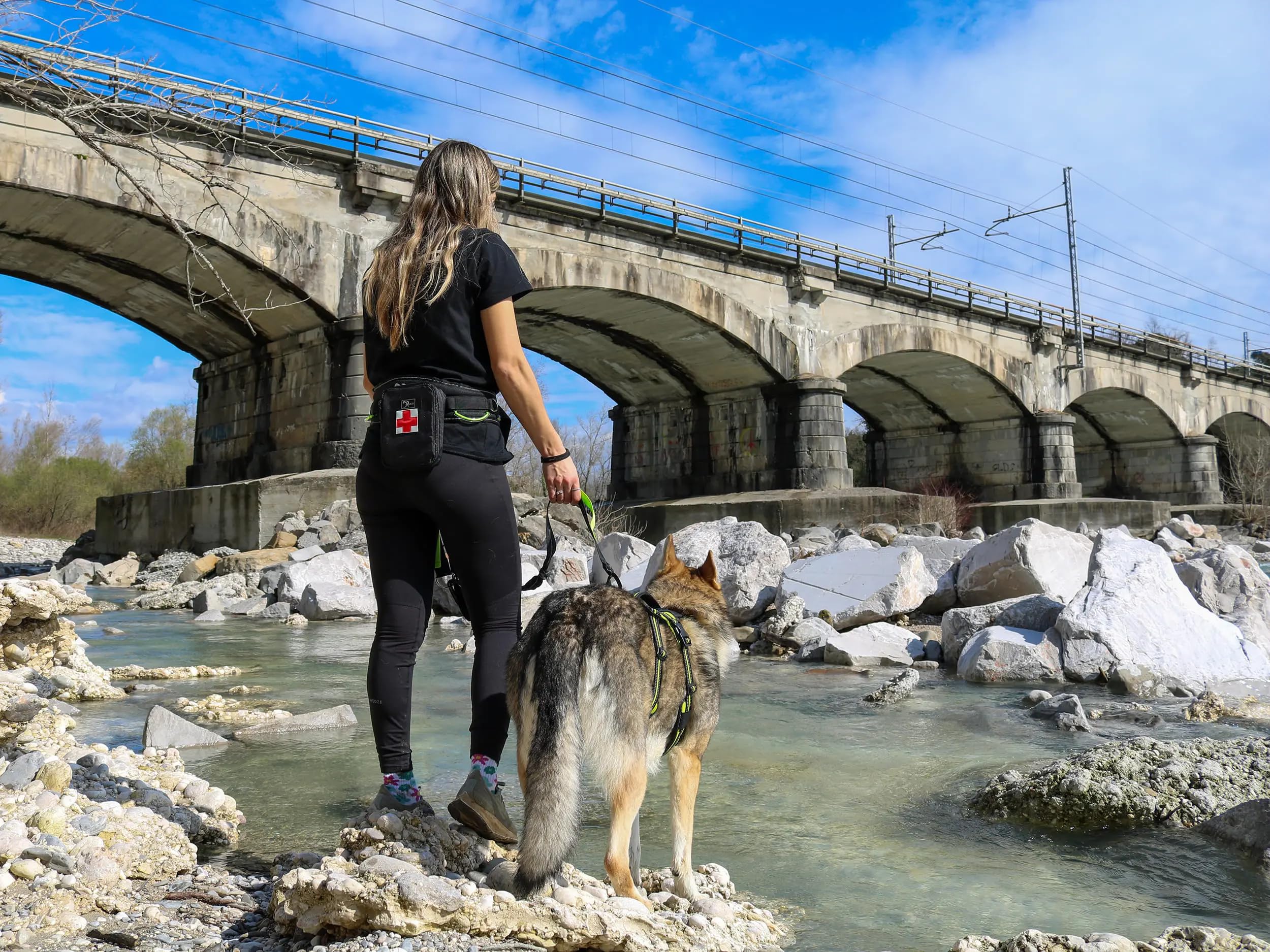 Cintura dog-trekking
