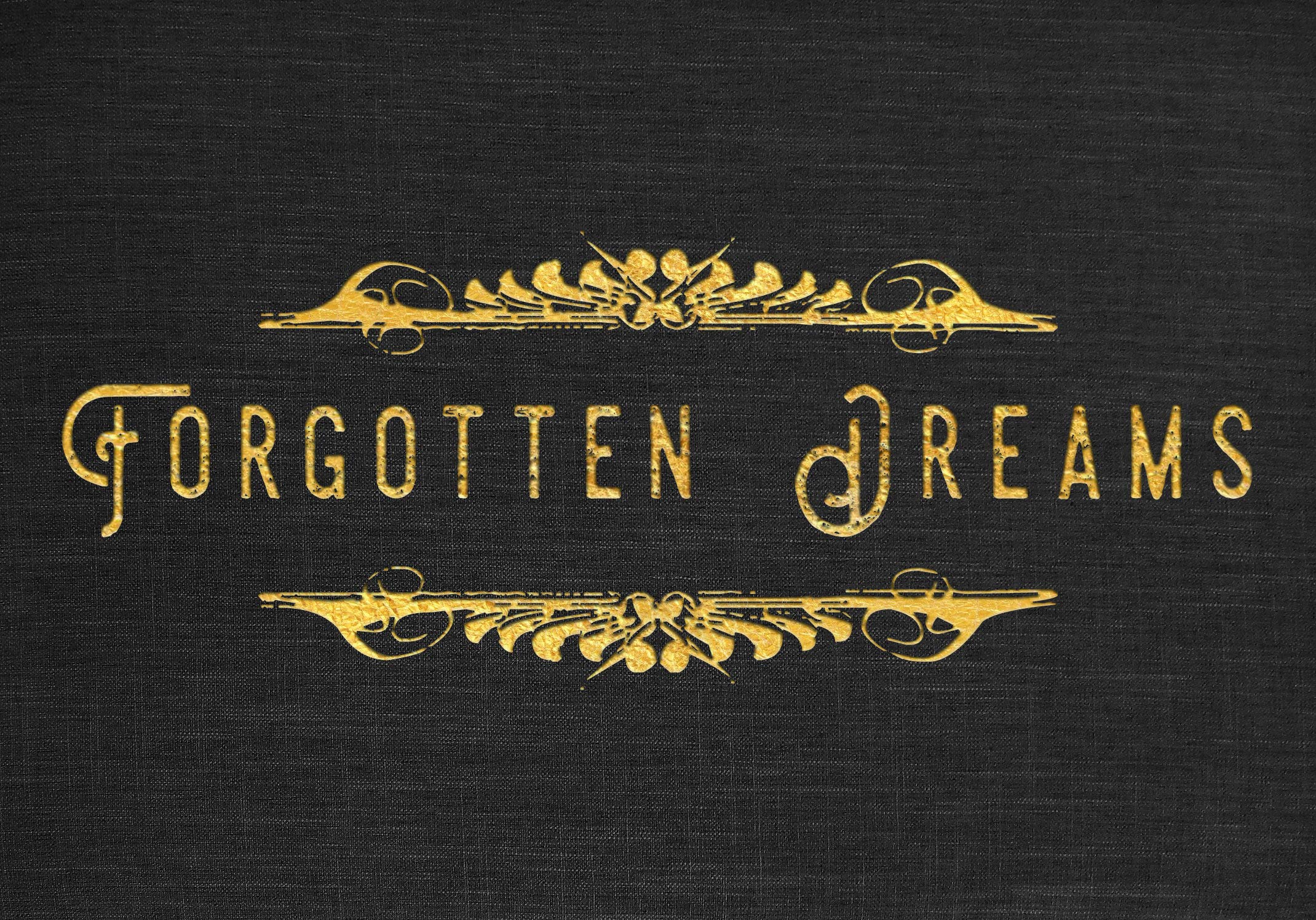 Forgotten Dreams