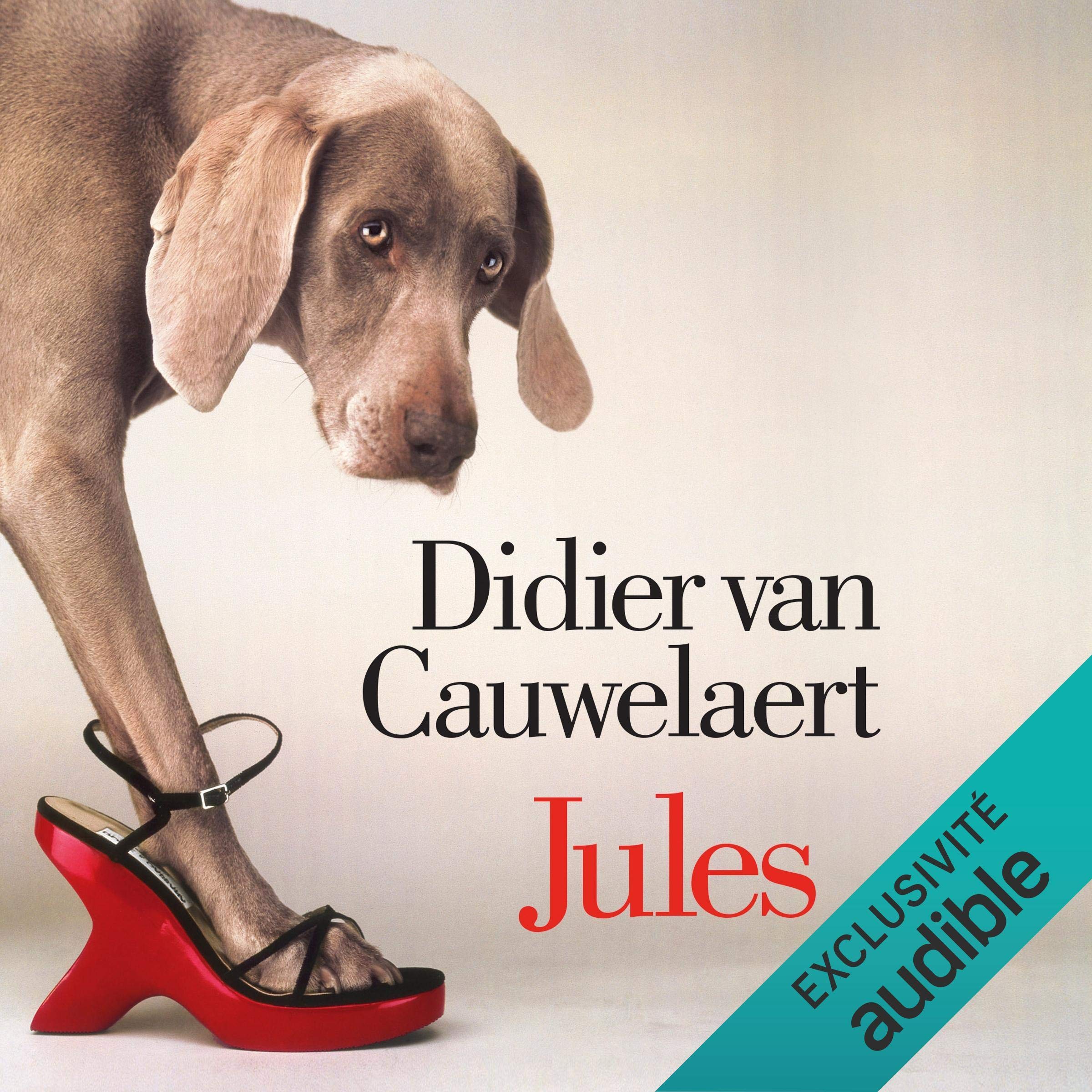 Cover art for Jules