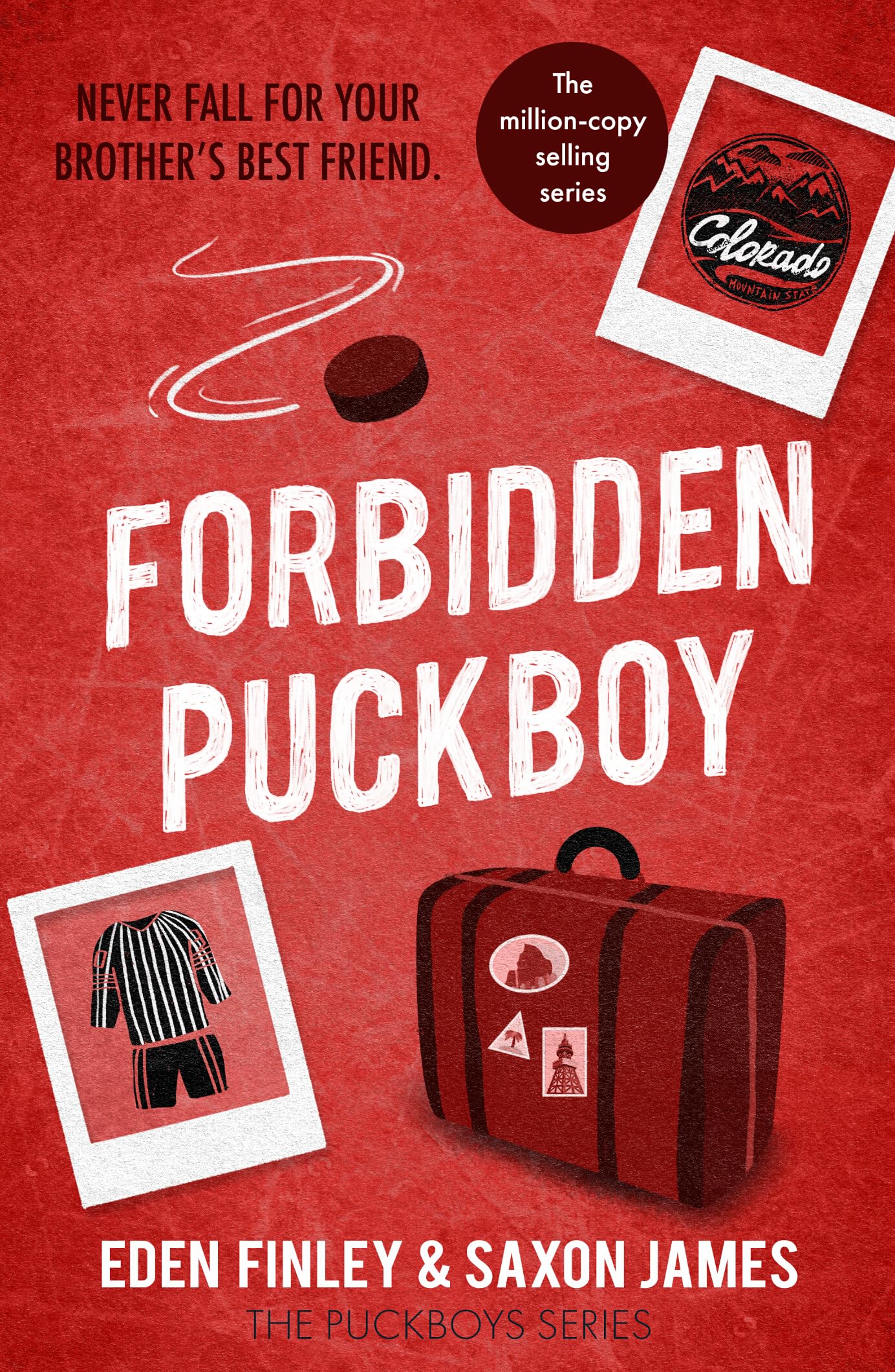 Forbidden Puckboy: An off limits best friend's brother ice hockey romance (Puckboys, 7)