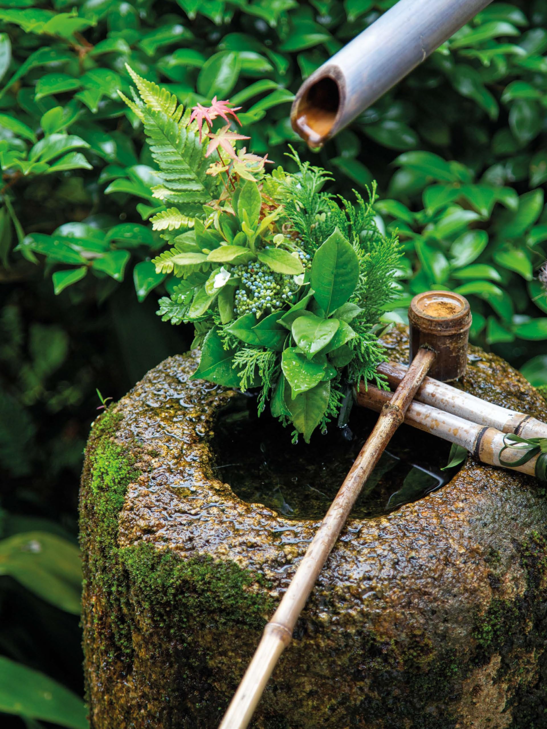Japanese Garden Design: A Complete Guide -3 Japanese Garden Design: A Complete Guide -3