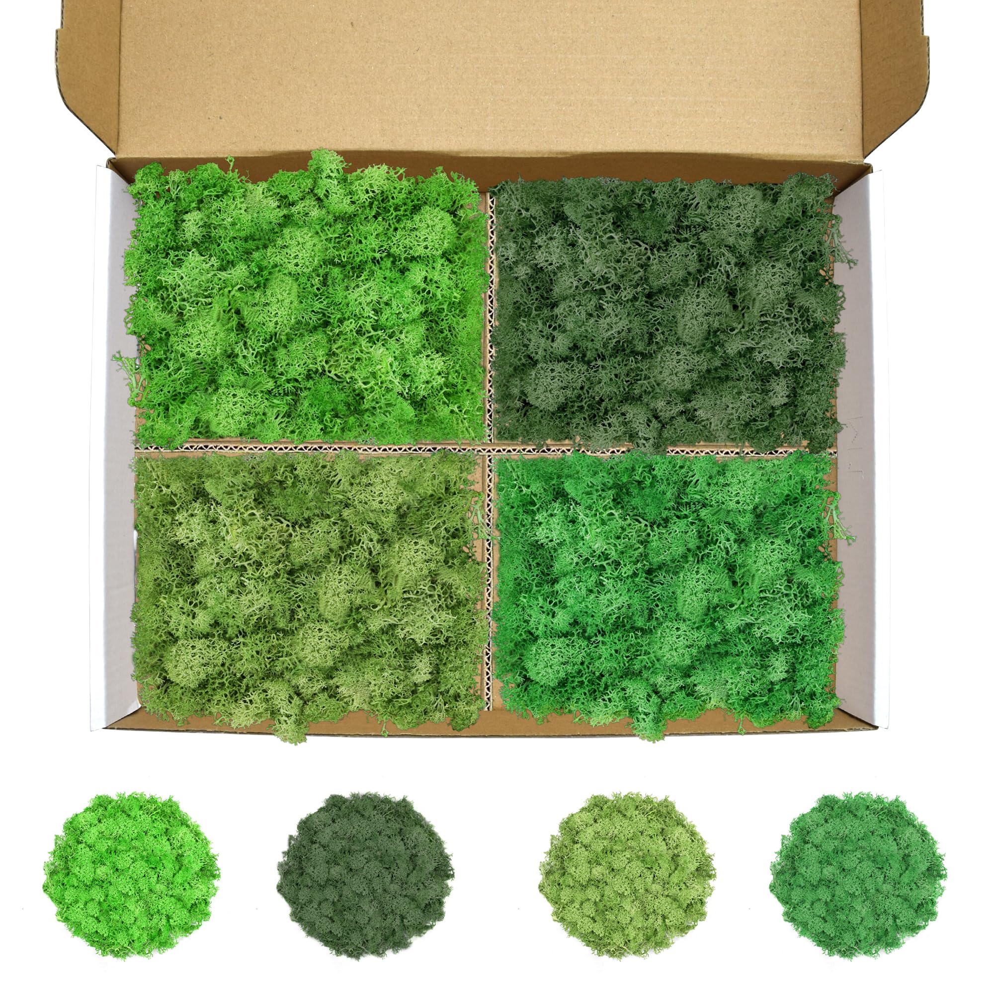 Preserved Reindeer Moss, 14 oz 4 Colors Moss for Crafts