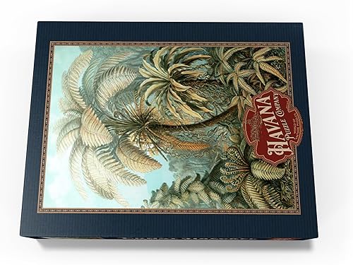 Miniatura 4 de MyPuzzle Fern (Filicinae) - Formas de arte en la naturaleza, póster de arte vintage, Ernst Haeckel - Rompecabezas prémium de 500 piezas para adultos