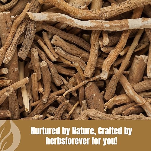 Miniatura 8 de Ashwagandha Polvo  Ginseng indio  Cereza de invierno  Hepls en alivio del estrés y salud muscular  Sin OMG, orgánico, vegano  454 GMS