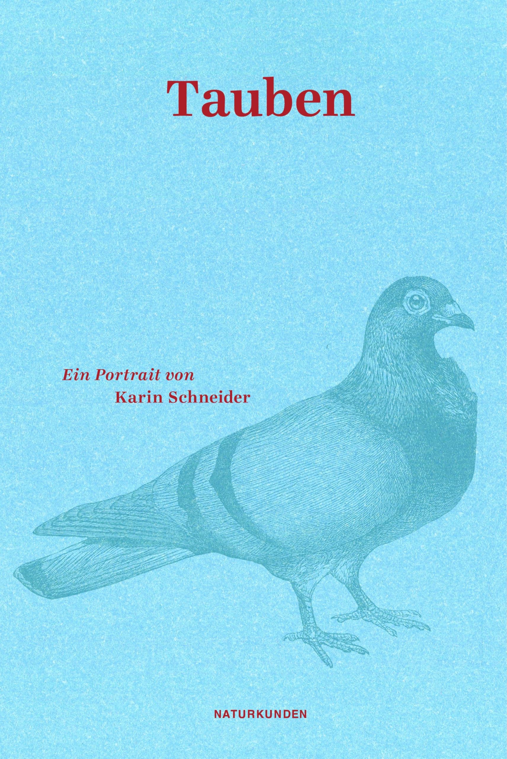 Tauben: Ein Portrait