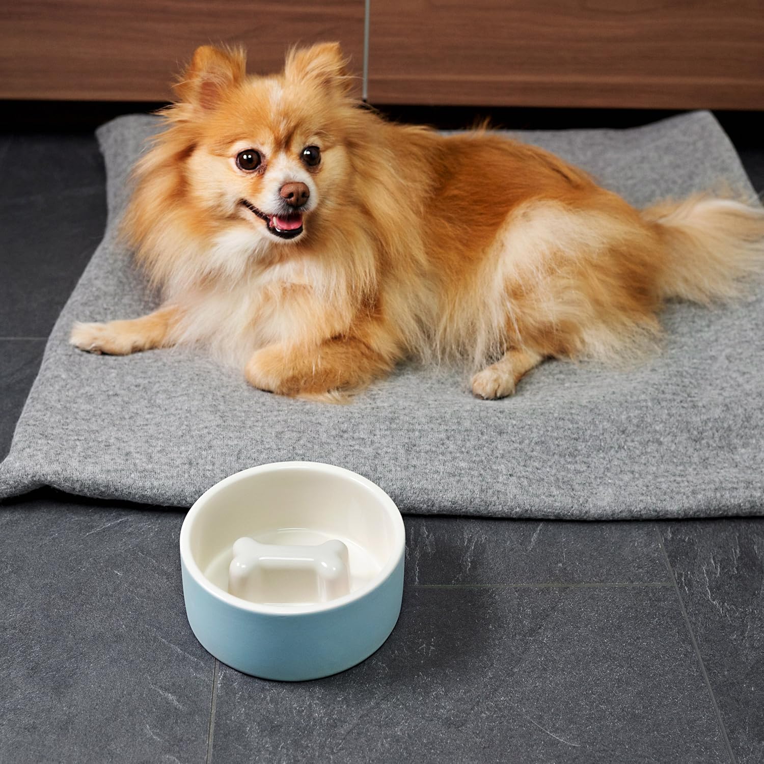 Magisso Dog cat Bowl Cooling Ceramic Technology | Naturally Cooling Design | Keeps Water Chilled and hygienic for Hours (Medium, Blue)