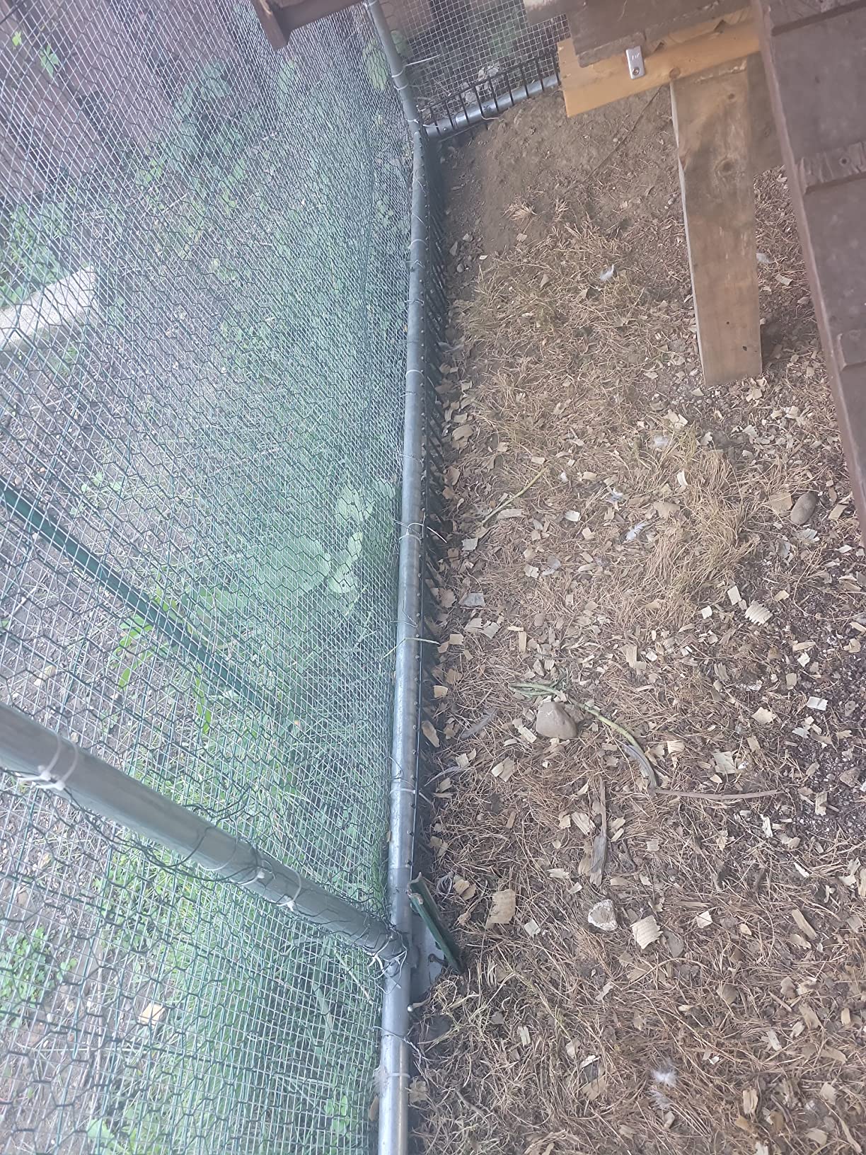 11/mo Finance Adavin Small/Medium Animal Barrier Fence 24x15inch Underground Decorative