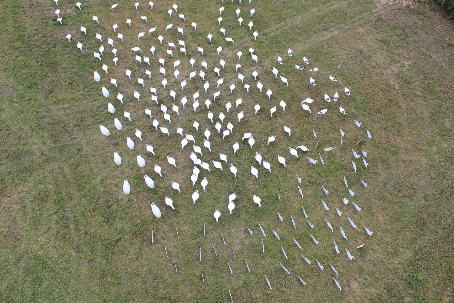 Horizontal Canada Goose/Snow Goose Decoy - 12 Pack