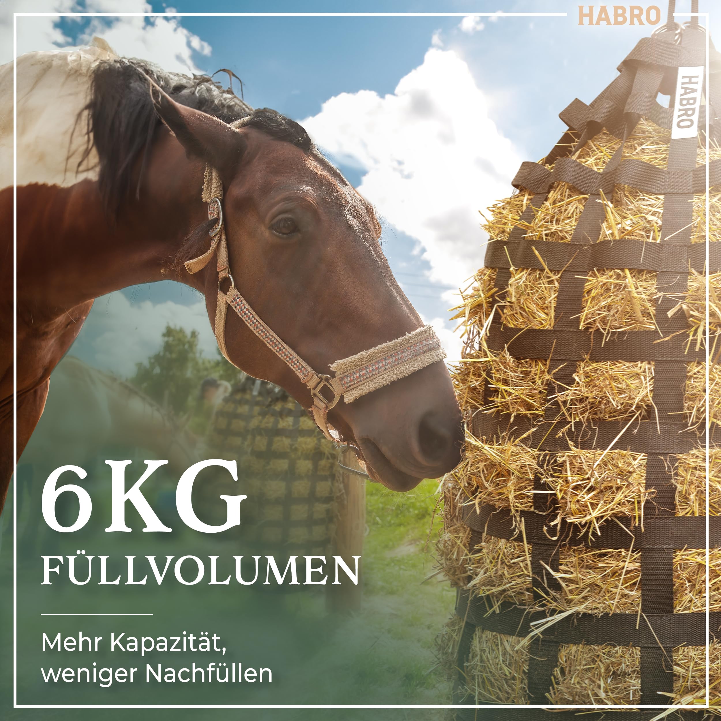 HaBro Heunetz für Pferde engmaschig 6 kg Heu Premium XXL Heutasche robust langlebig