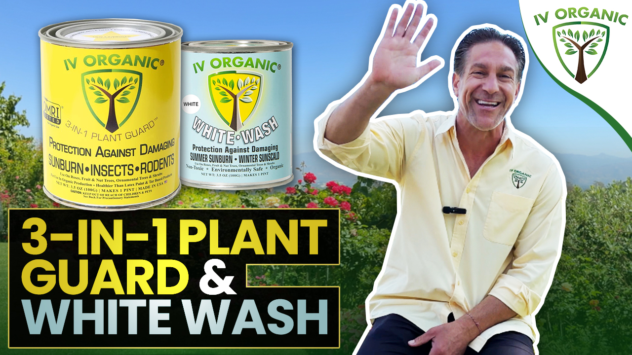 Amazon.com: IV Organic 3-in-1 Plant Guard, 1 Pint (Brown