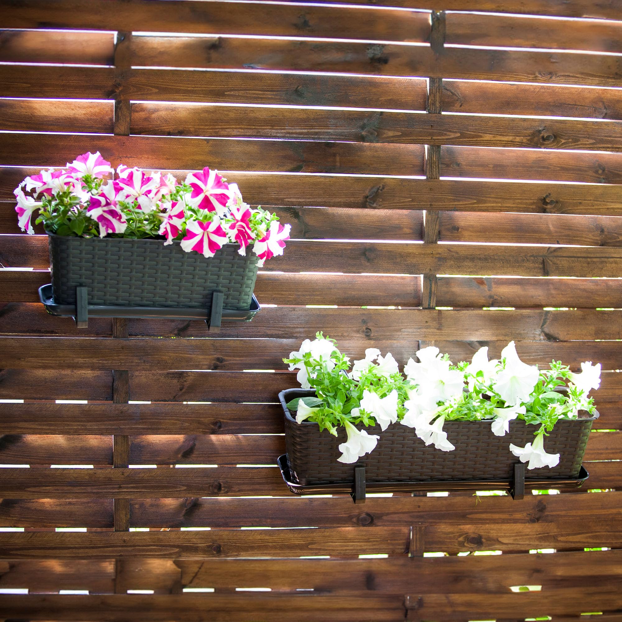 KADAX Blumenkasten 60 cm, ca. 12L Anthrazit mit Halterungen & Untersetzer, Rattan-Optik – Pflanzkübel für Balkon oder Terrasse, robuster Balkonkasten