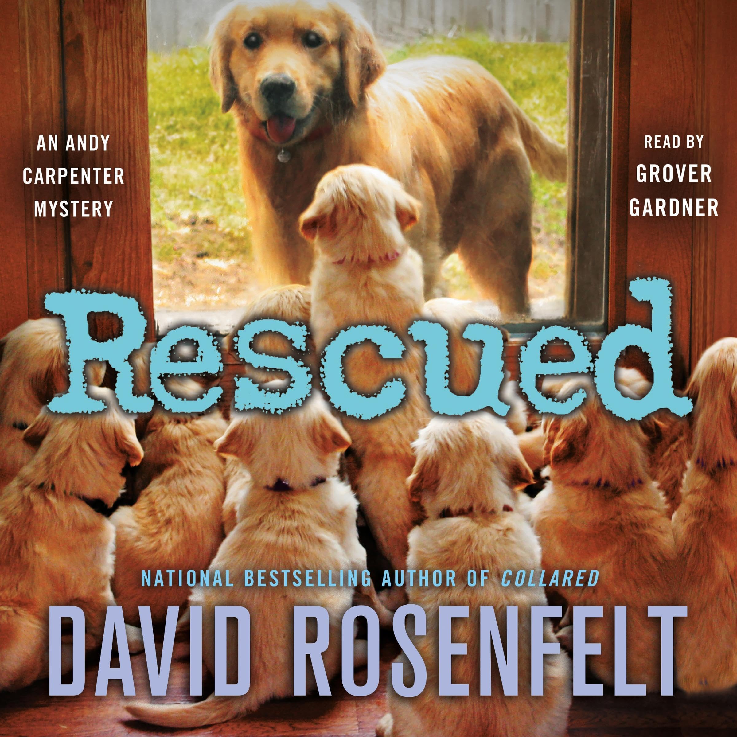 Cover art for Rescued: An Andy Carpenter Mystery