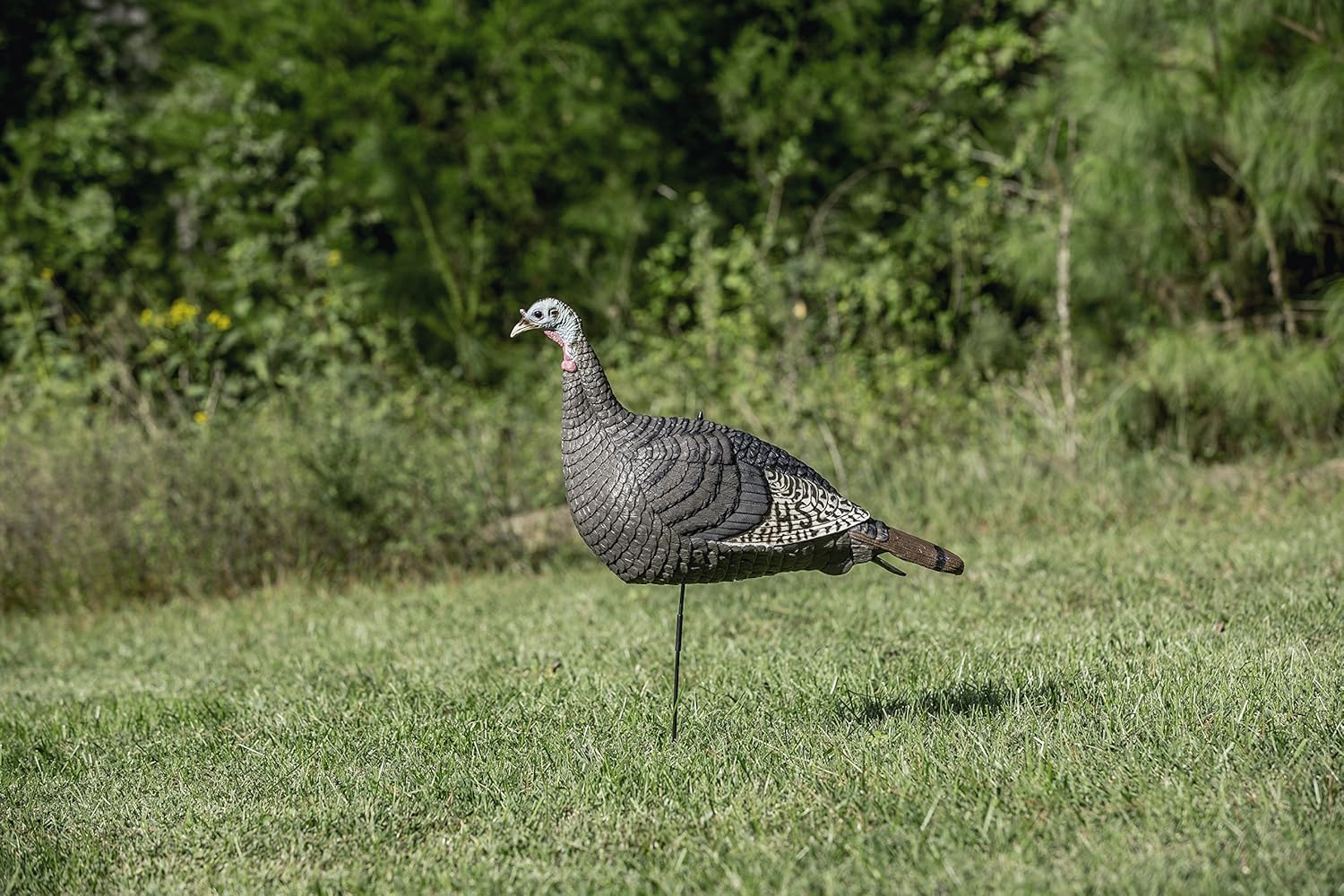 Hunters Specialties HS Strut Lite Hen Turkey Foldable Hollow Body Realistic Decoy