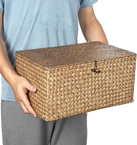 Vista 150 de Hipiwe Cestas de mimbre con tapa, cesta de pastos marinos tejida a mano, cestas rectangulares para el hogar, cajas para estantes, armario, Café