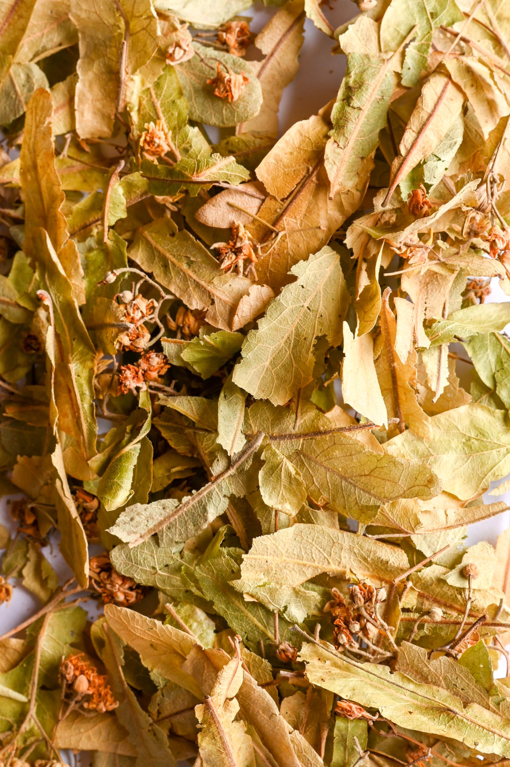 Biojoy Fiore di Tiglio BIO (250 g), Tisana di Tiglio, qualità naturale (Tiliae flos) (Confezione da 2)