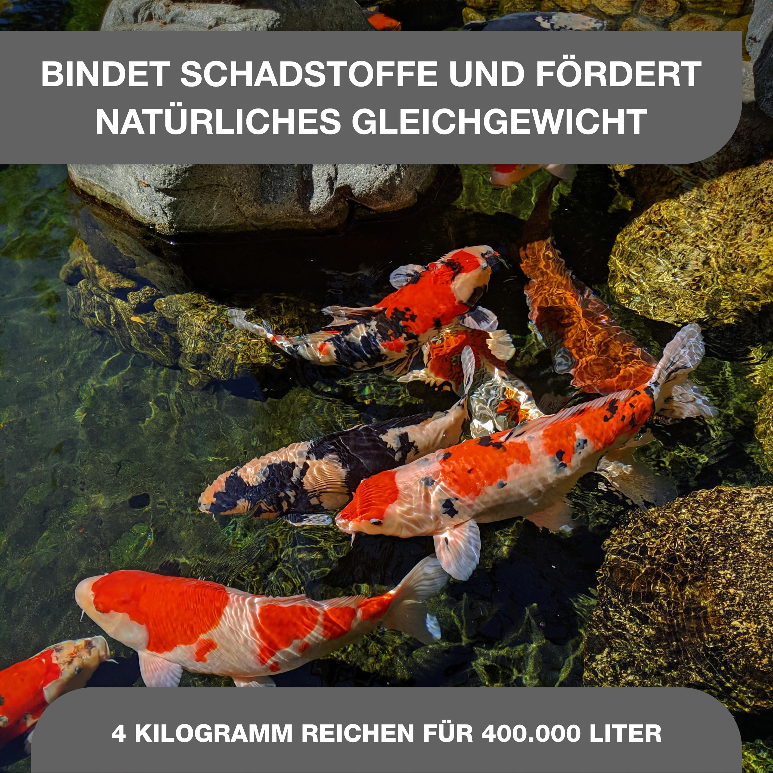Teichpoint K24 Mineral-M 4 kg | Feines Montmorillonit Pulver bindet Schadstoffe und reduziert Trübungen im Garten und Koi Teich | Für ausgeglichenes Teichwasser | Reichweite 400.000 Liter