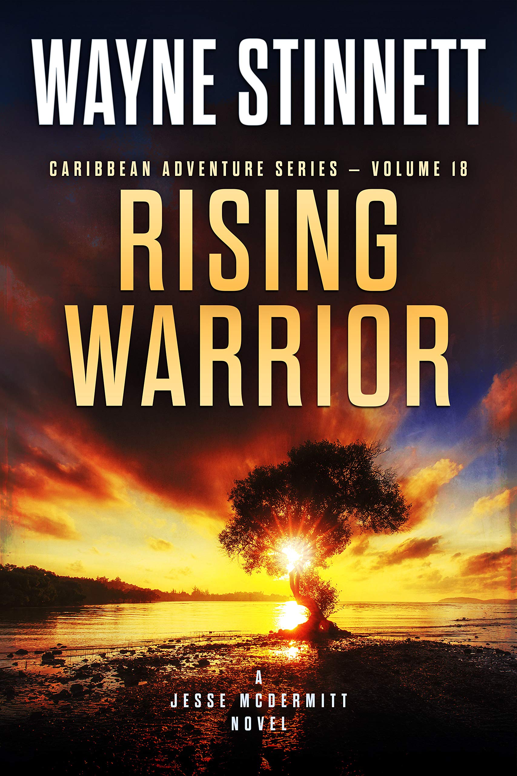 Rising Warrior: A Jesse McDermitt Novel (Caribbean Adventure Series)