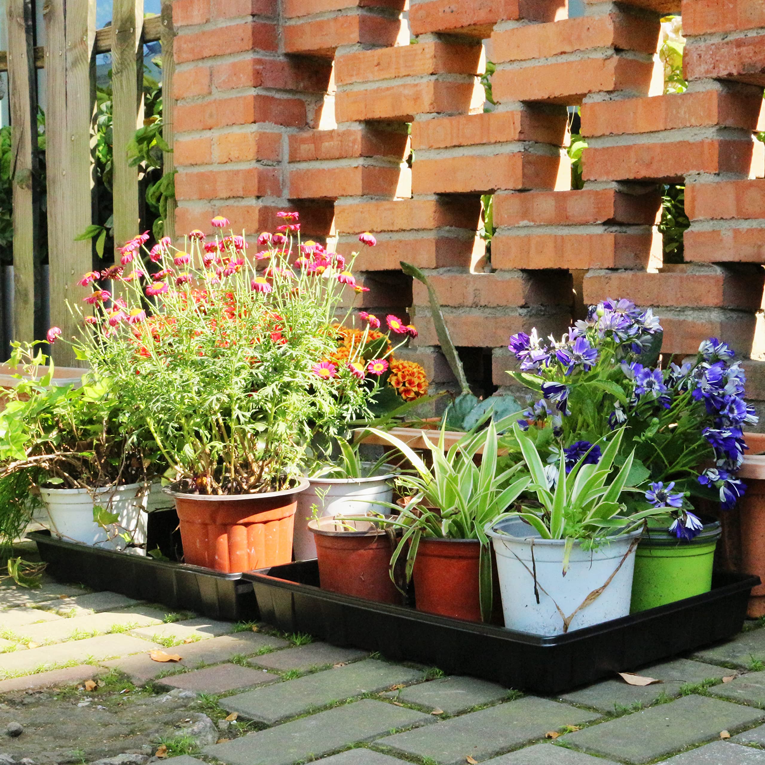 Gardzen Lot de 10 plateaux à semences, réutilisables, parfaits pour le démarrage des graines, les microgreens, le jardinage intérieur et les pépinières de plantes en serre – Pas de trous de drainage