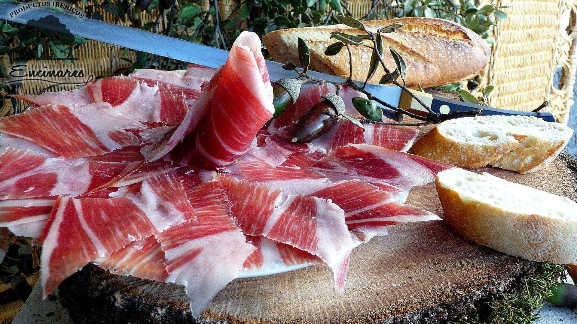 Sobres de Paleta iBérica de Cebo "Emjamesa", 5 sobres de 100 Gramos, 500 gramos