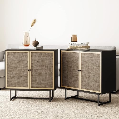 Nathan James Kova Rattan Wood Accent Sideboard Storage Cabinet TV Stand with Matte Metal Frame, Adjustable Shelves and Cane Doors, for Hallway, Entryway or Living Room, Black Oak/Cane, Set of 2