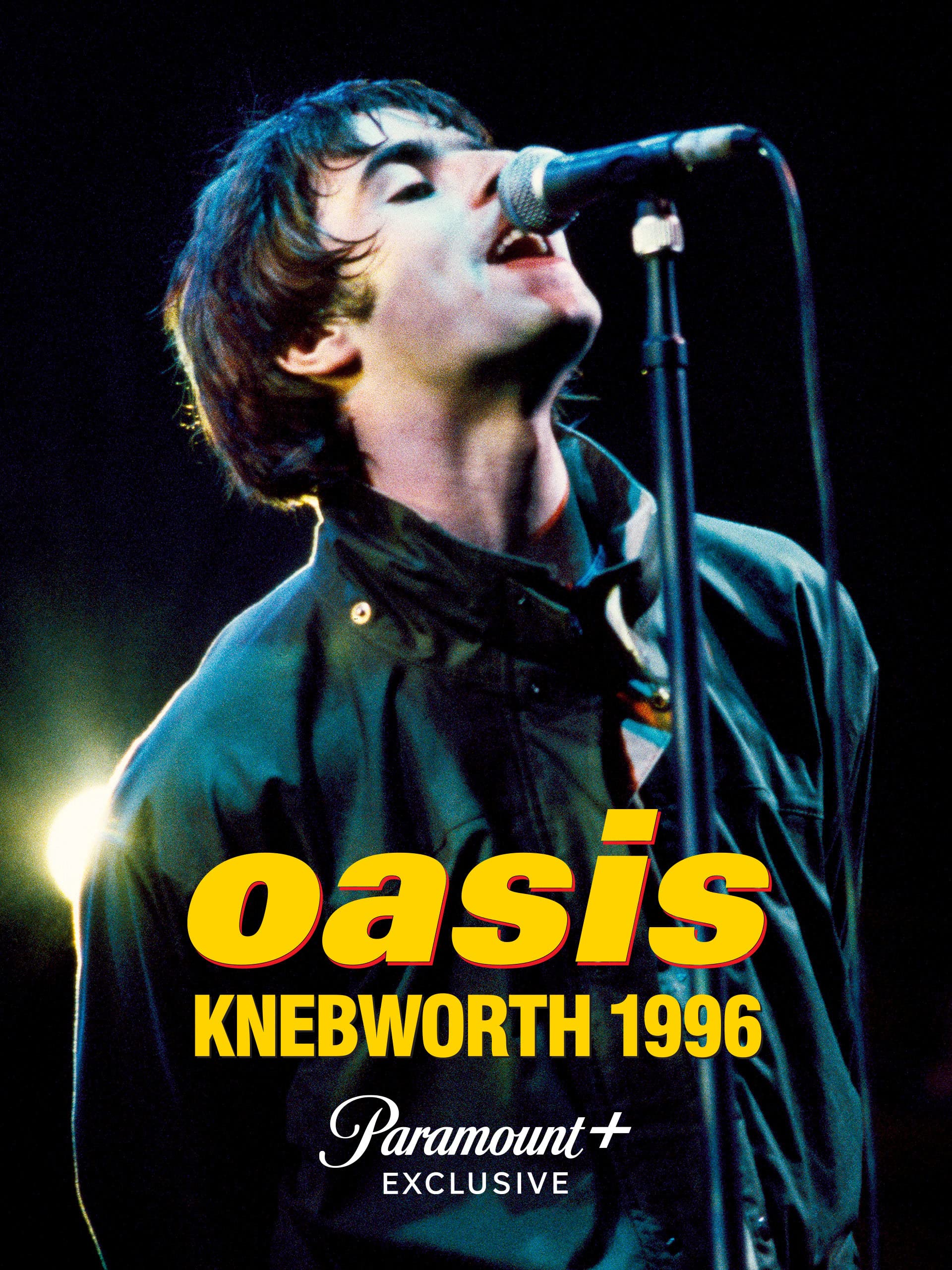 Actualizar 104+ imagen liam gallagher knebworth outfit Abzlocal.mx