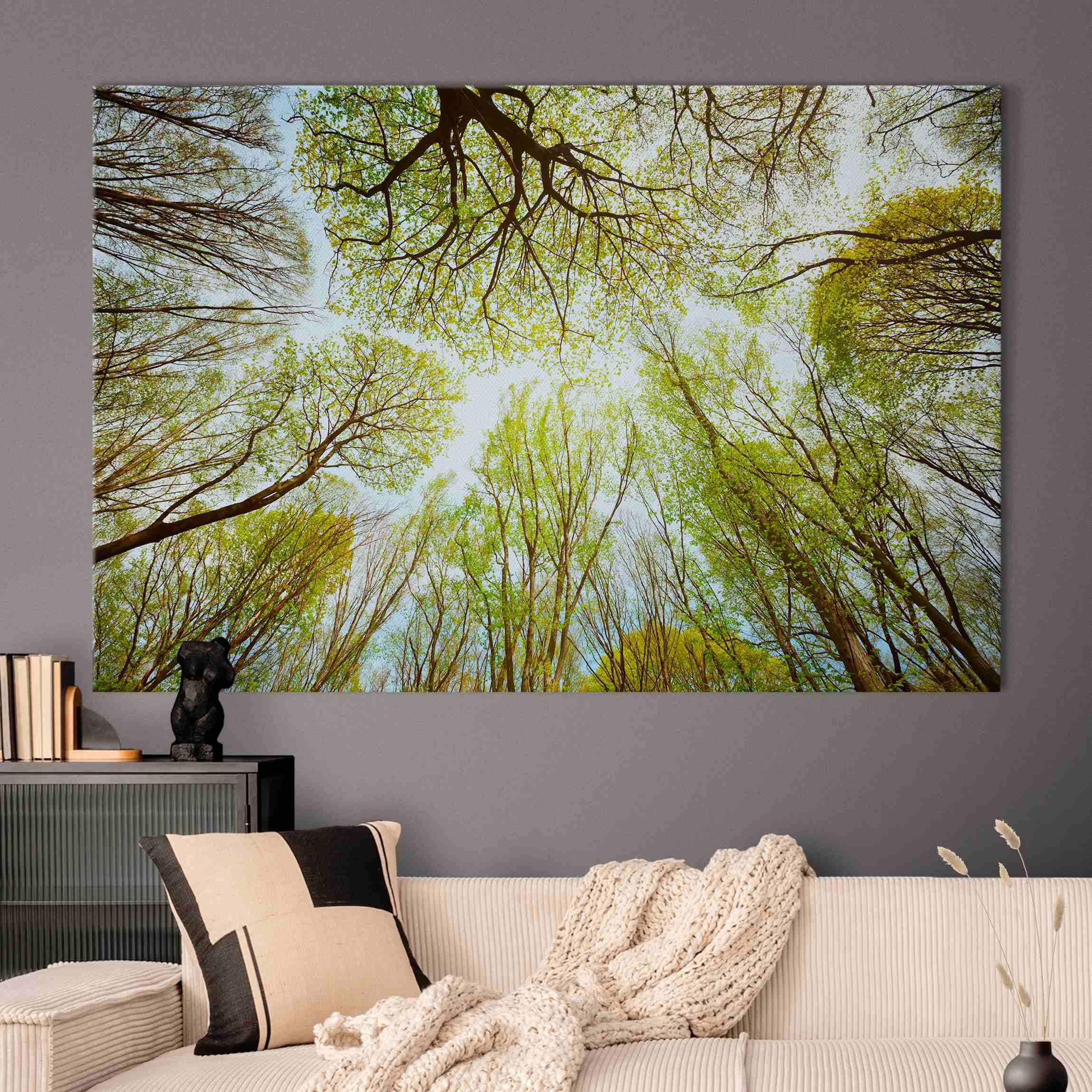 micasia Akustikbild Wald Bäume Natur Schallschutzbild 4cm Keilrahmen & Schallabsorber - Baum Modern grün Wohnzimmer Schlafzimmer Bild für bessere Raumakustik 1701 (150x100cm)
