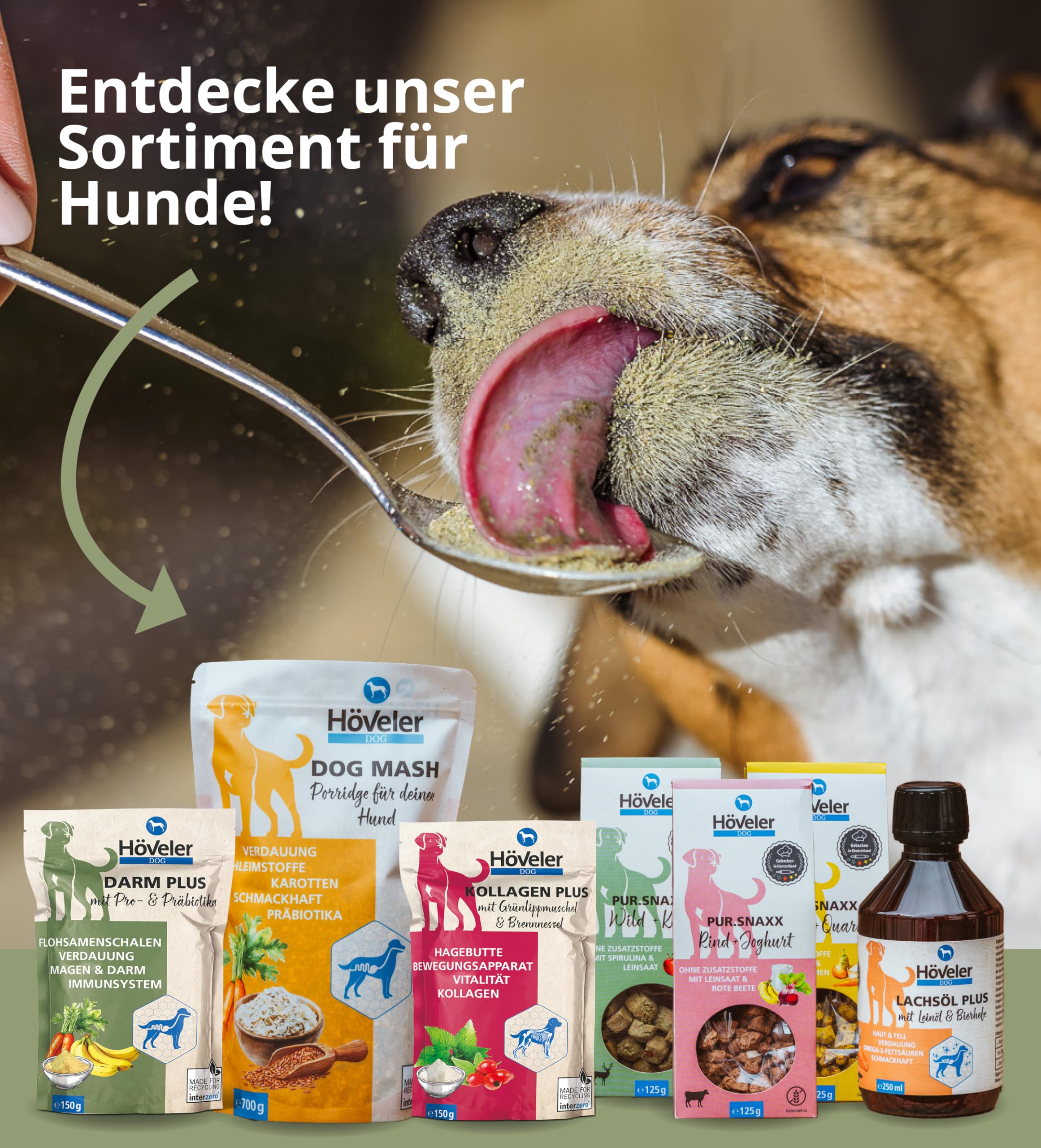 Höveler Dog DARM Plus 150 g – Ergänzungsfuttermittel für Hunde – mit Probiotika und Präbiotika – Unterstützung des Verdauungstraktes