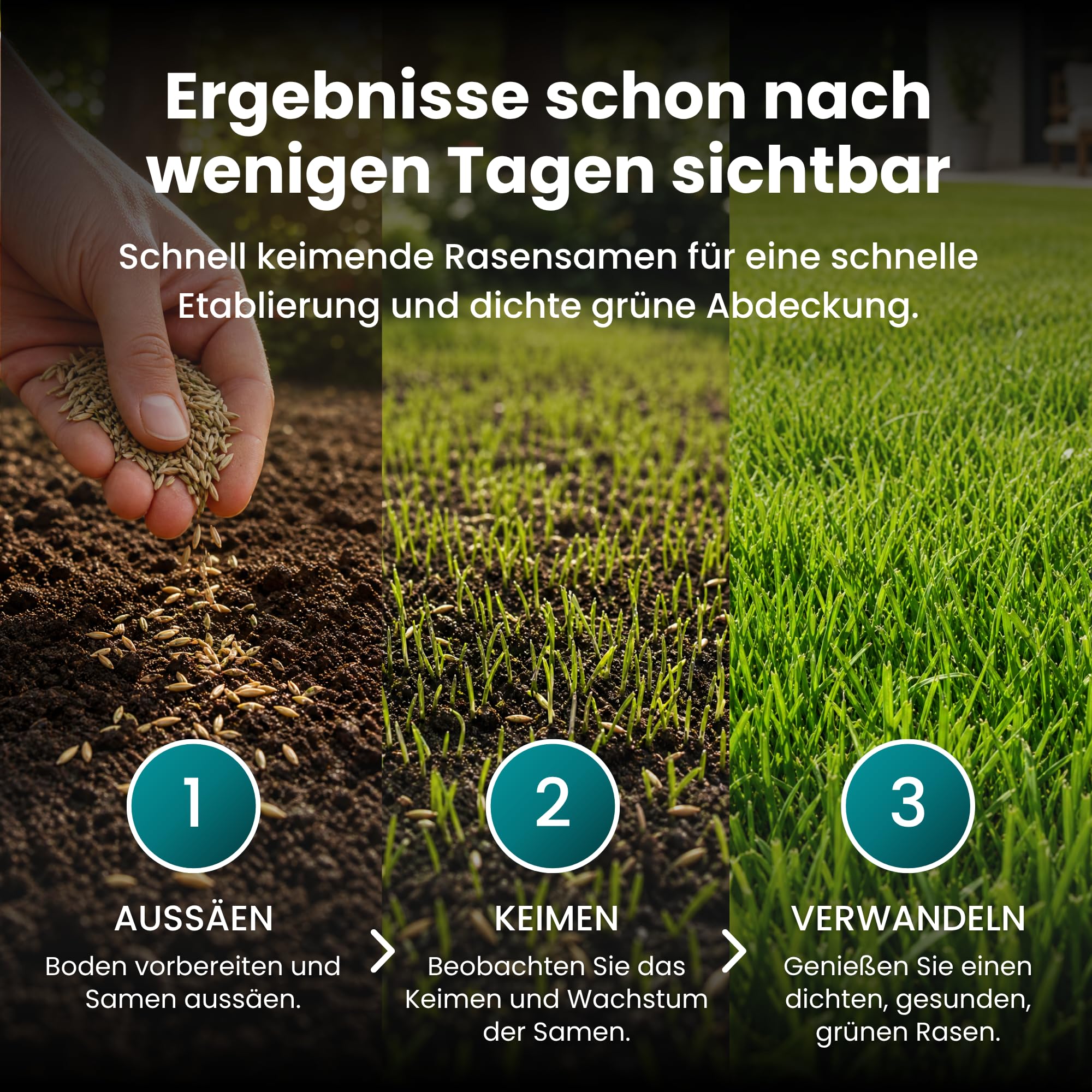 LERAVA Turbo Rasensamen schnellkeimend (360 m²) - Schattenrasen für kühle Gebiete - Leuchtend grüner & robuster Grassamen zur Nachsaat - Rasensaat für Frühjahr & Herbst