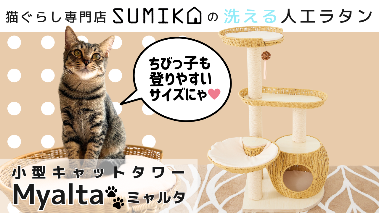 引取り限定‼️SUMIKA ratanto!シリーズ キャットタワー ブラック 引取り限定‼️SUMIKA ratanto!シリーズ キャットタワー ブラック