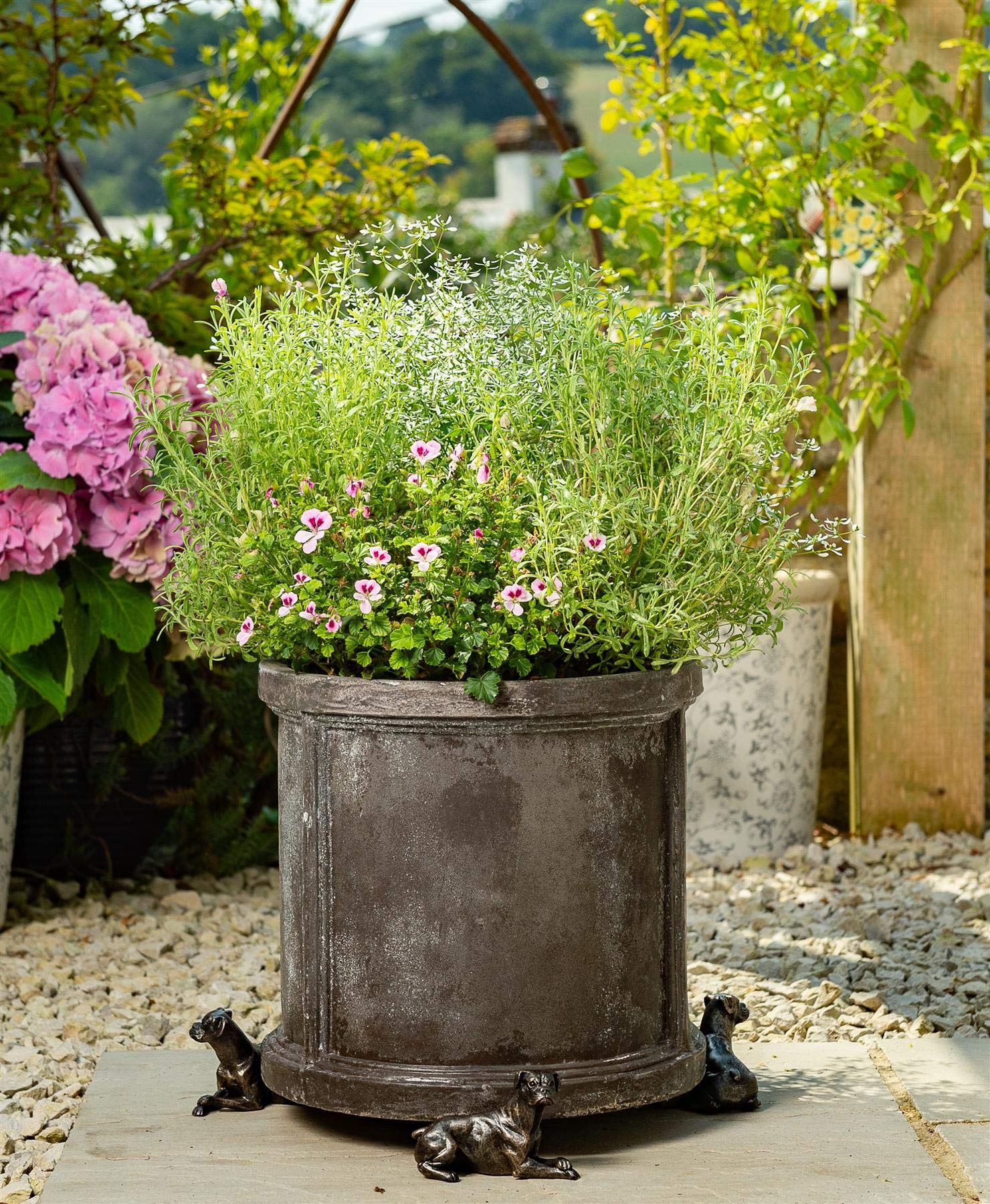 View 5
