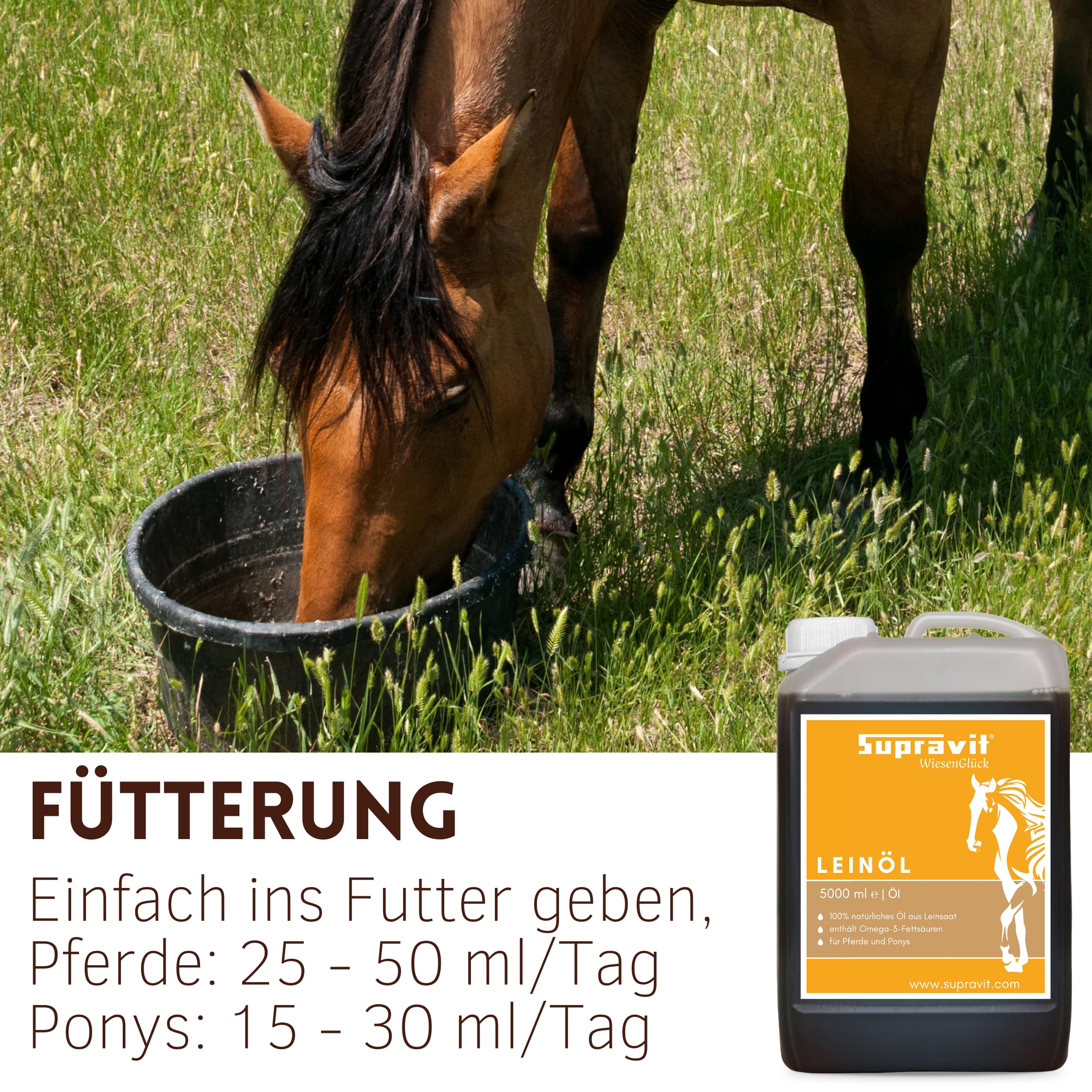 Supravit Leinöl Pferde 5 Liter & Hunde | Frisches Leinsamenöl kaltgepresst