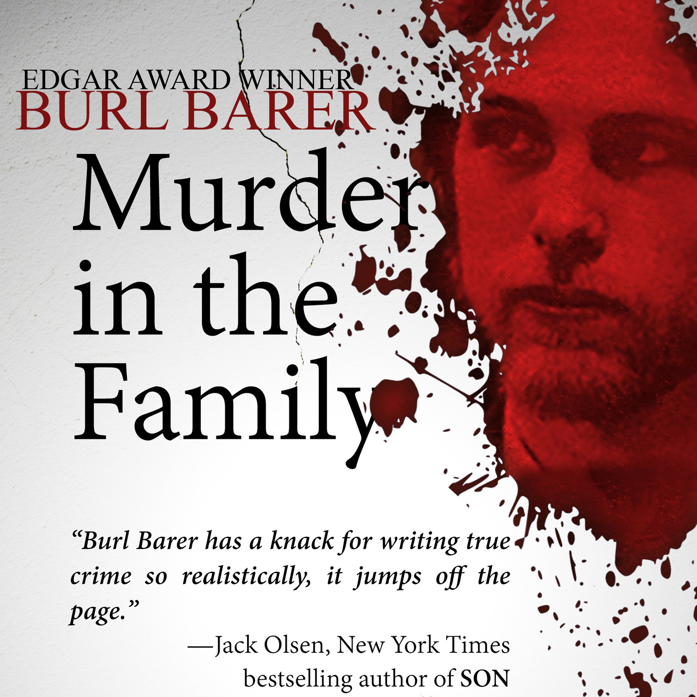 Cover art for Murder in the Family