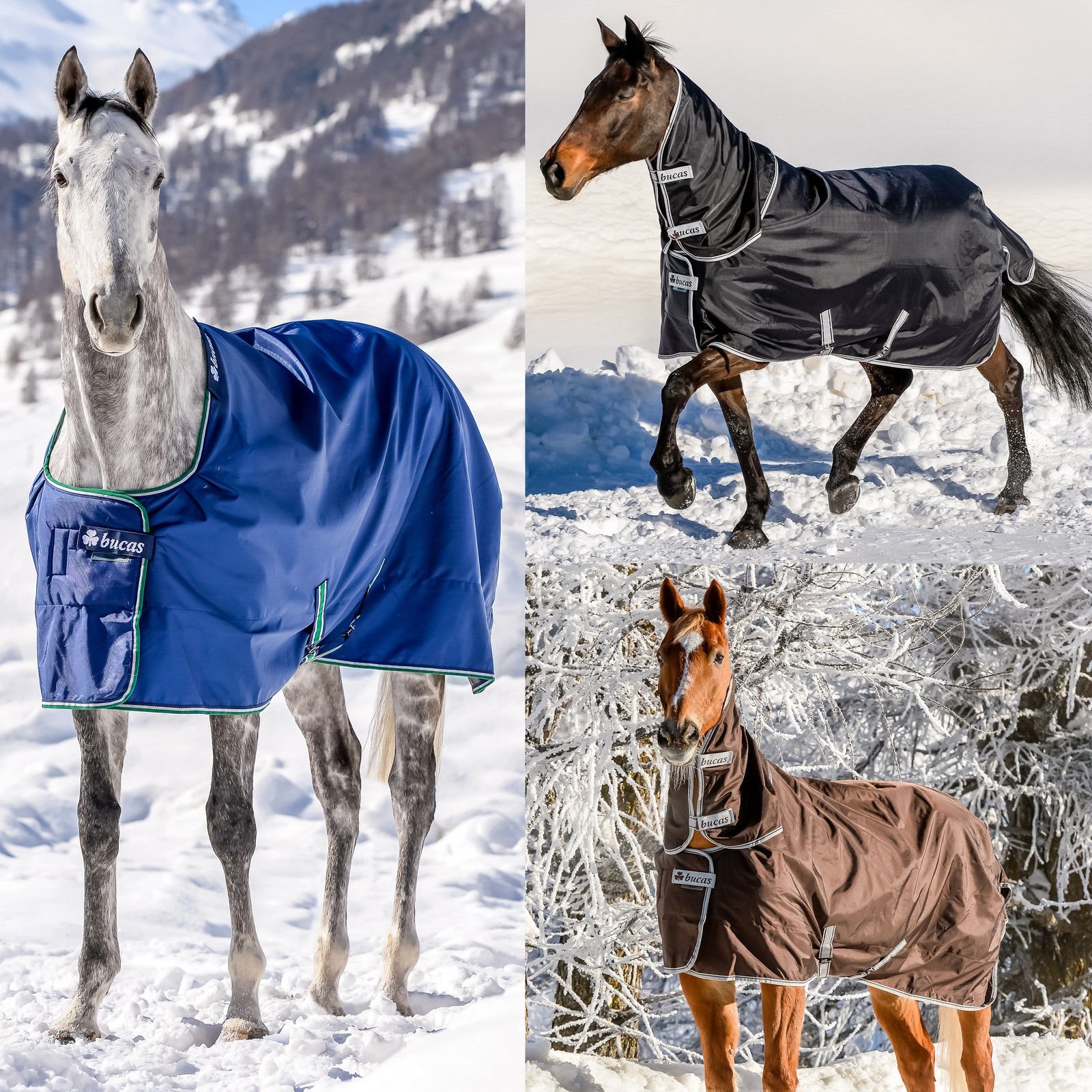 Bucas Smartex Extra 300g Turnout Rug Blue 6'6"