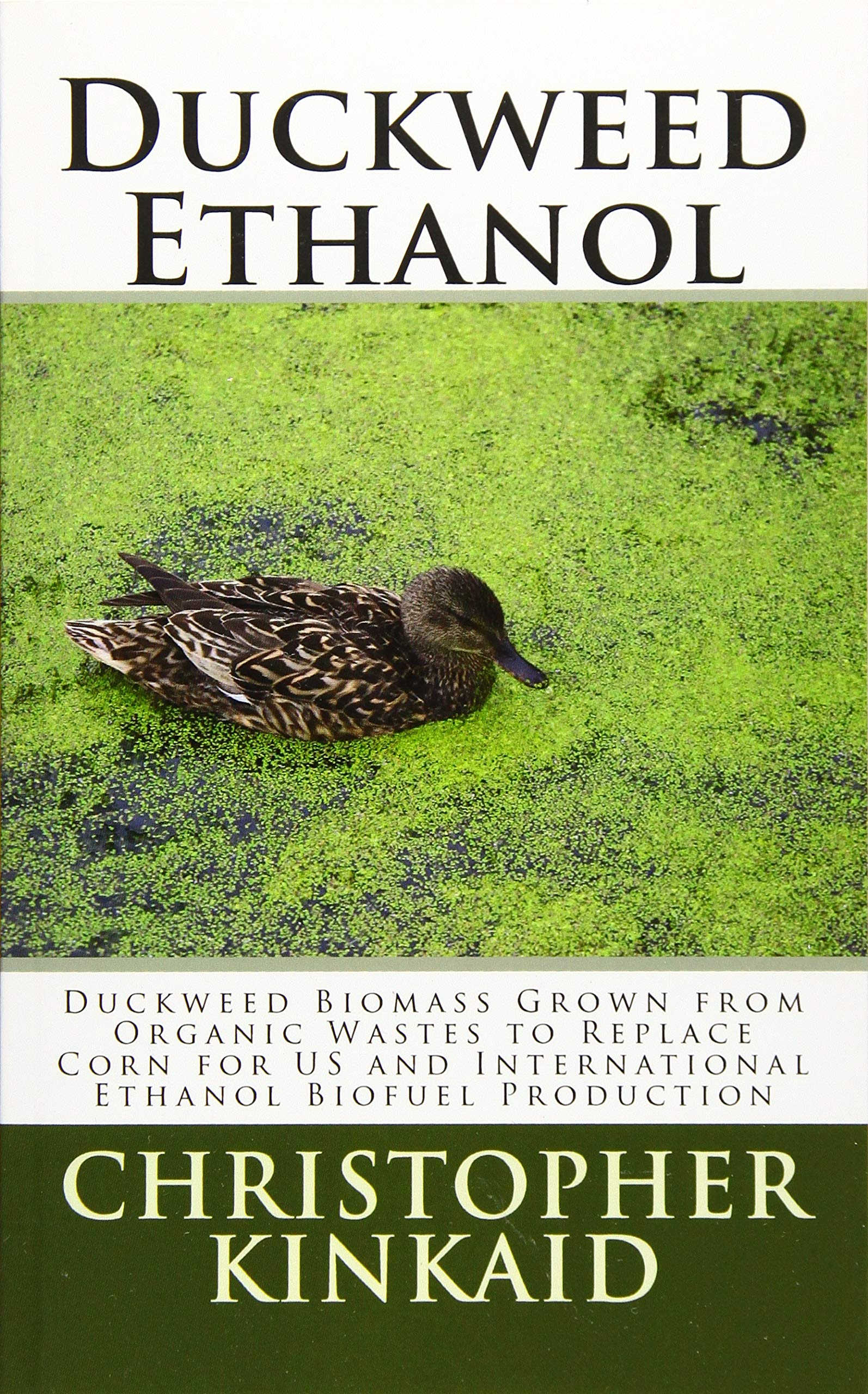 Duckweed Ethanol: Duckweed Biomass Grown from Organic Wastes to Replace Corn for Us and International Ethanol Biofuel Production