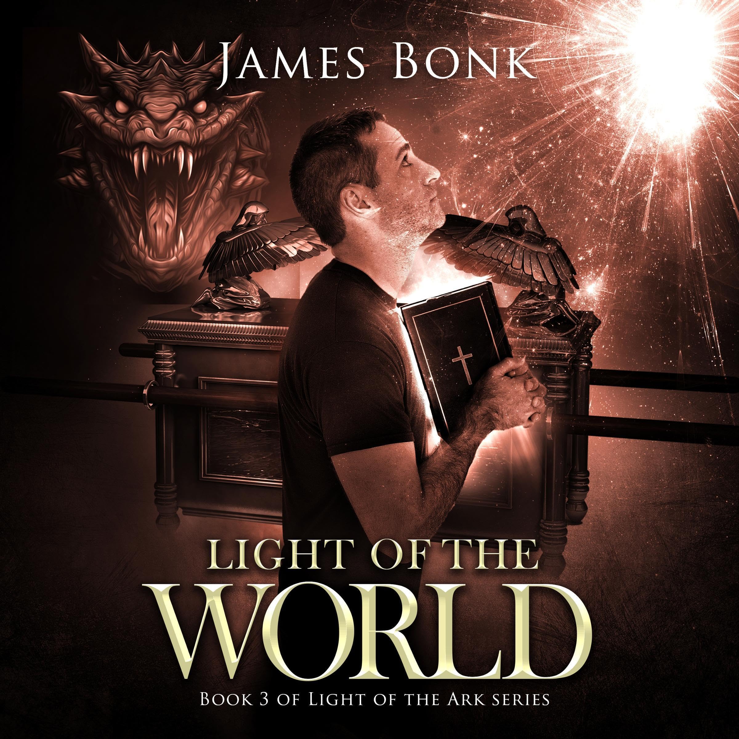 Cover art for Light of the World