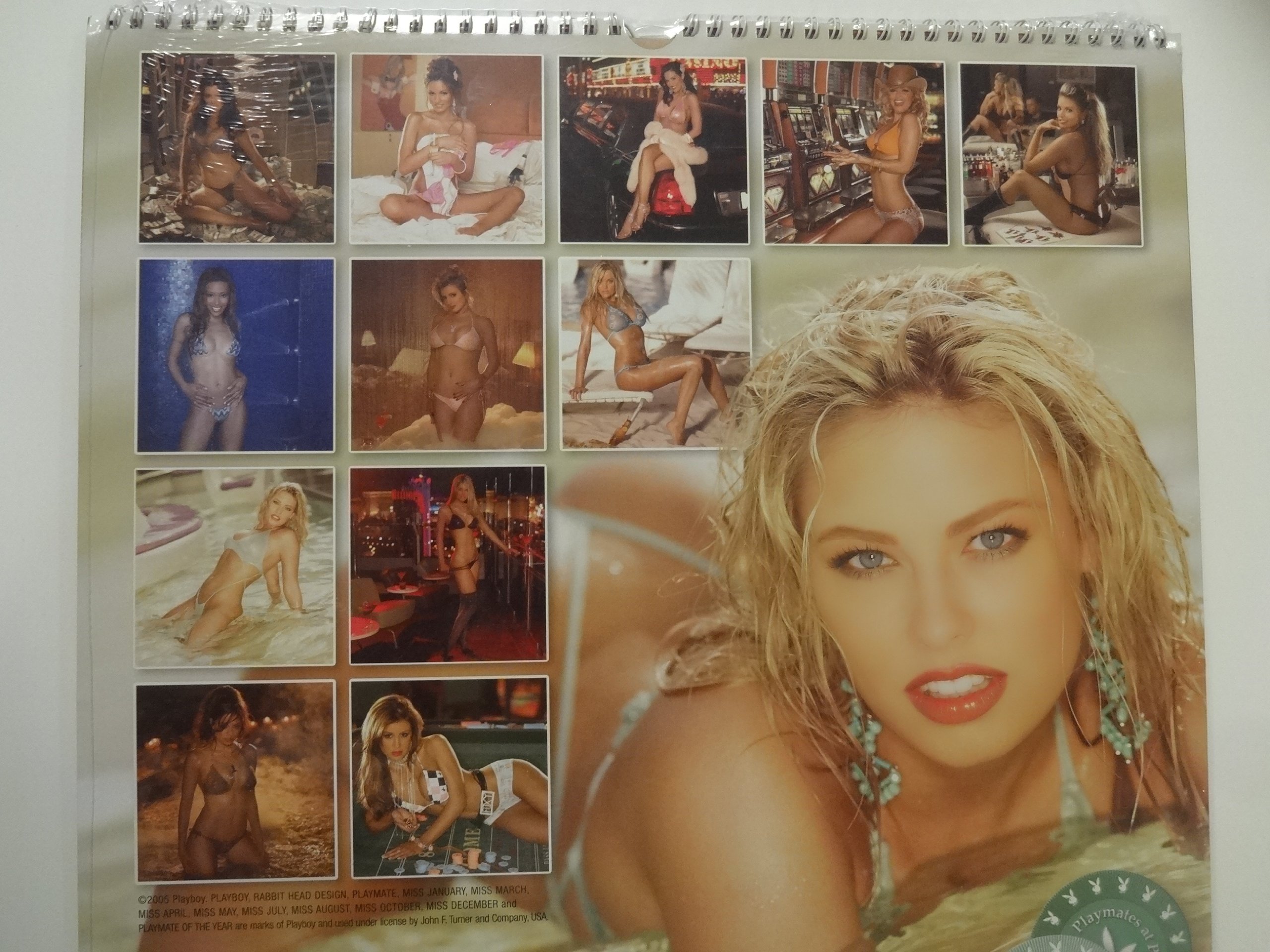Amazon.com: Playboy Playmates at Play in Las Vegas 2006 Calendar