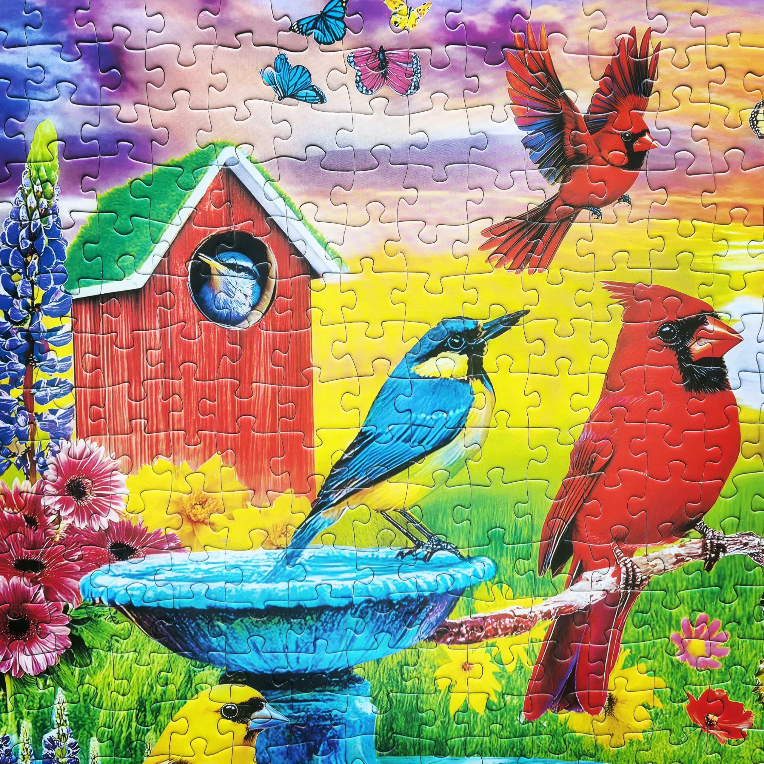 Mudpuppy Songbirds 500-Piece Family Puzzle – Glossy Pieces, 22" X 22" Finished Size, Eco-Friendly - View #2