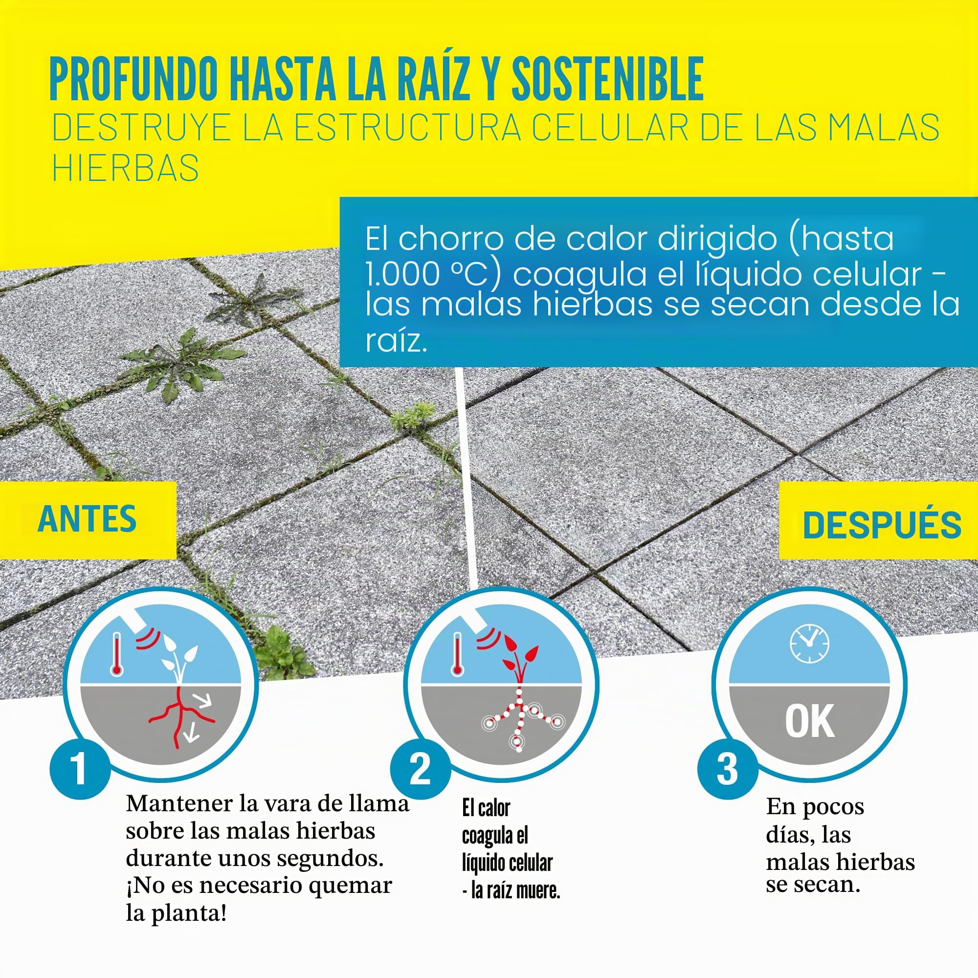 Gloria Bio Professional Plus - Juego de Quemador de Malas Hierbas a Gas, Potente y Duradero, para Grandes Superficies, conexión a Cartucho de Gas a presión, para la maleza del jardín y de los Caminos