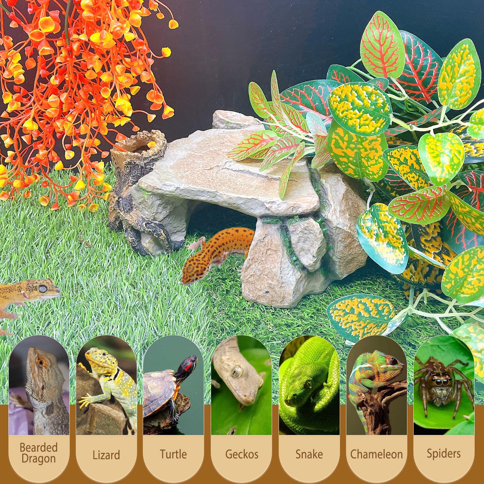 BNOSDM Plataforma de tortuga, cueva escondite de reptiles, roca de tortuga, cueva de escondite de geco, piedra de resina, decoración de hábitat de terrario, accesorios de tanque para dragón barbudo,