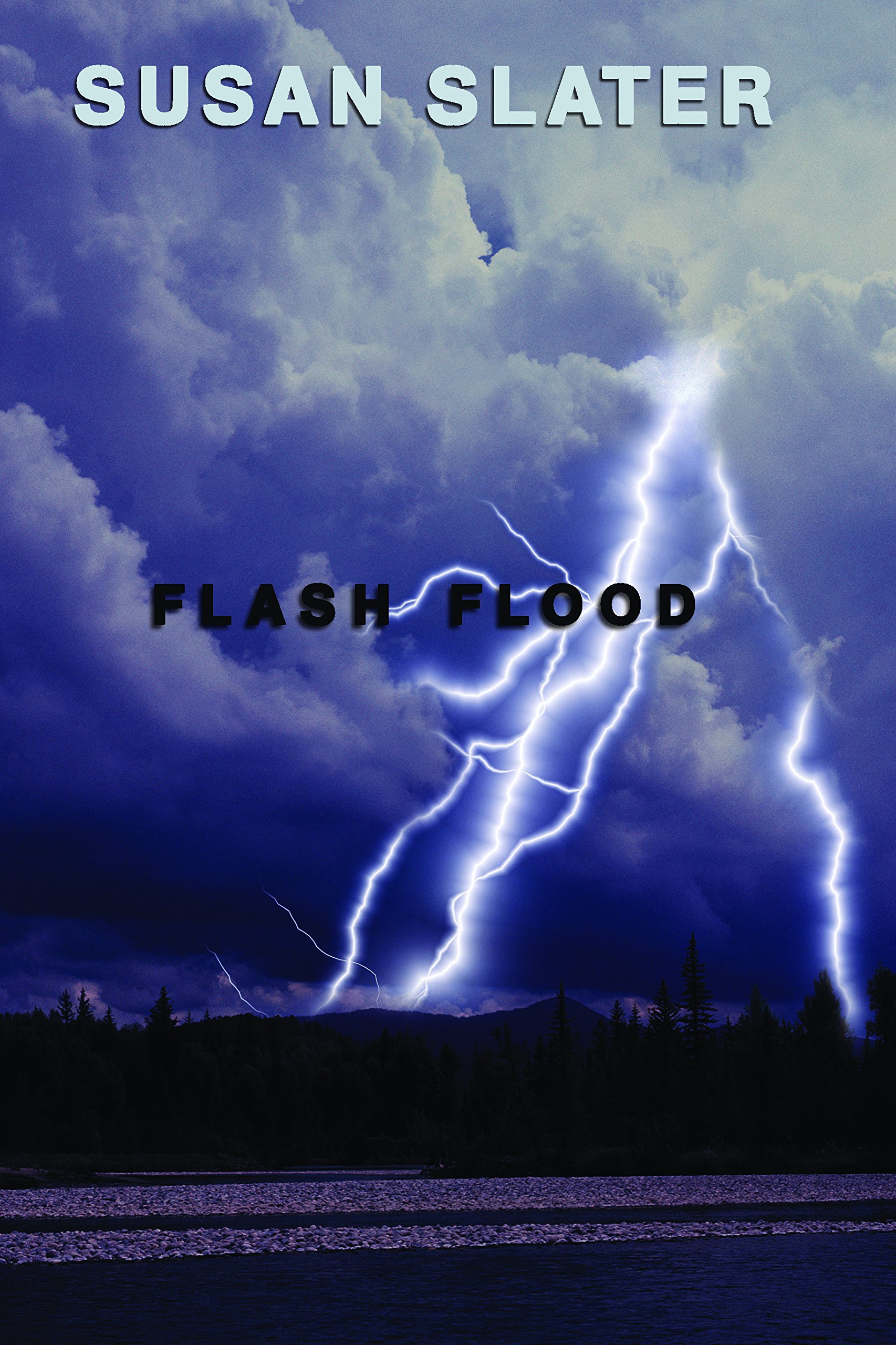 Buy Flash Flood — BookShops.in